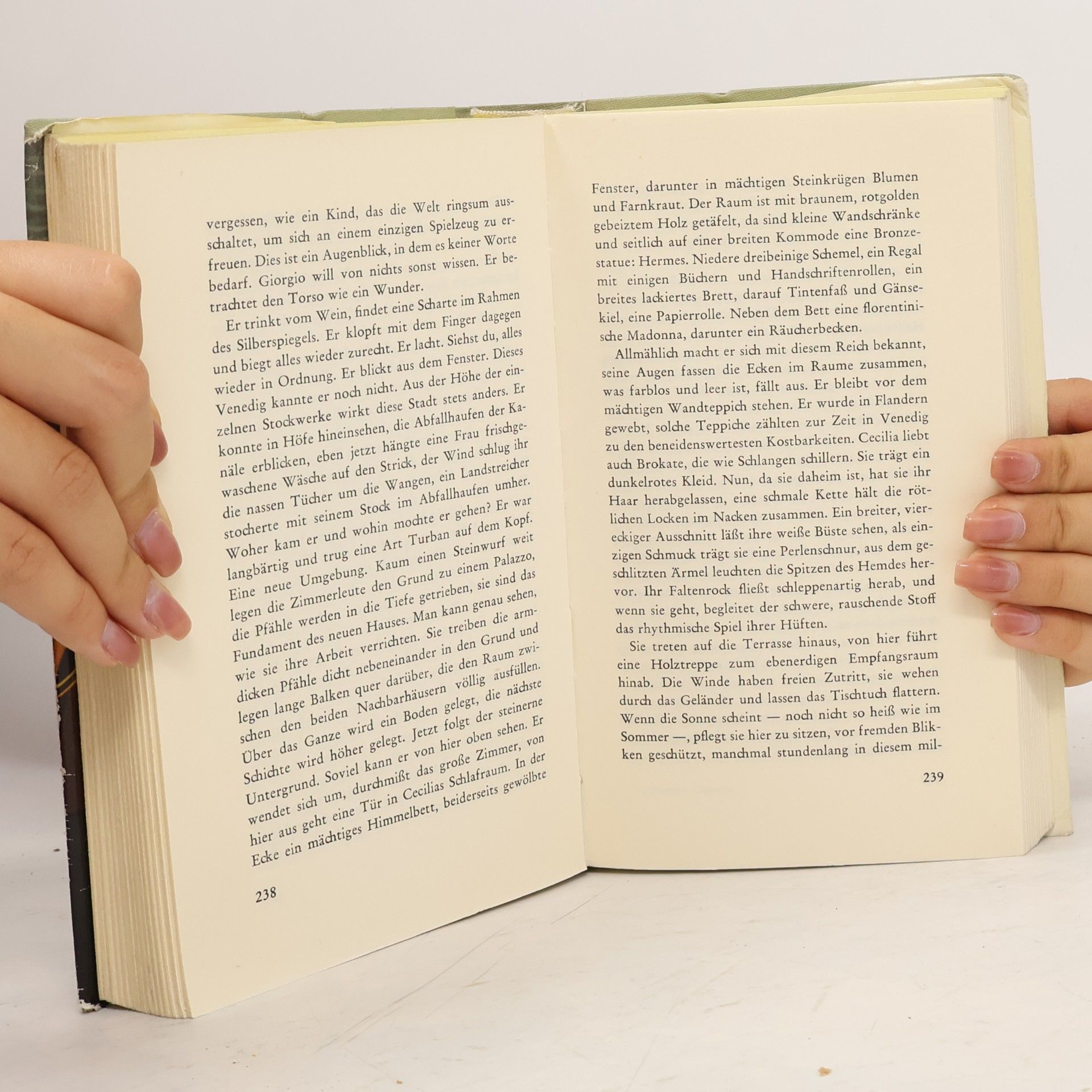 László Passuth Liebe und Tod in den Lagunen
