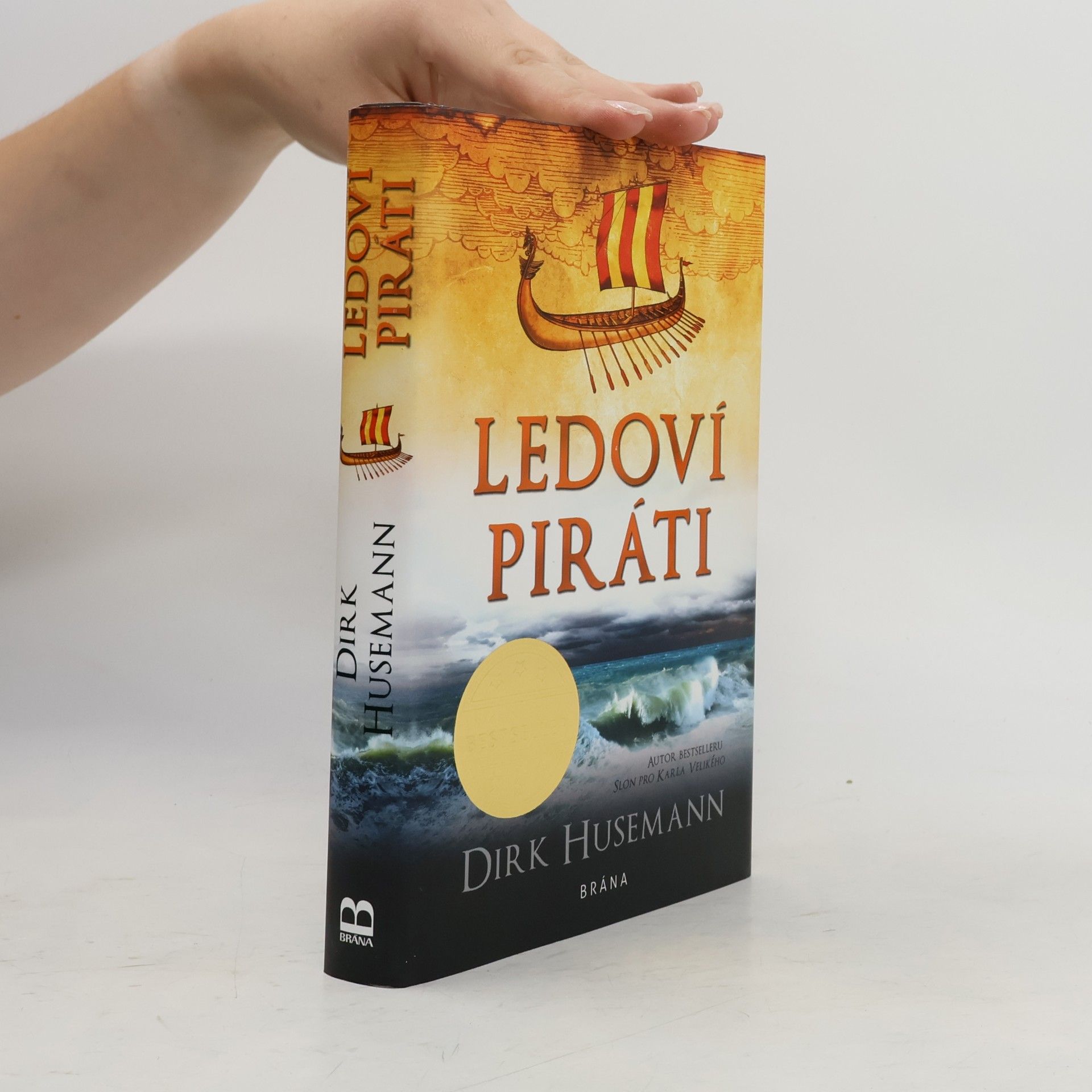 Dirk Husemann Ledoví piráti