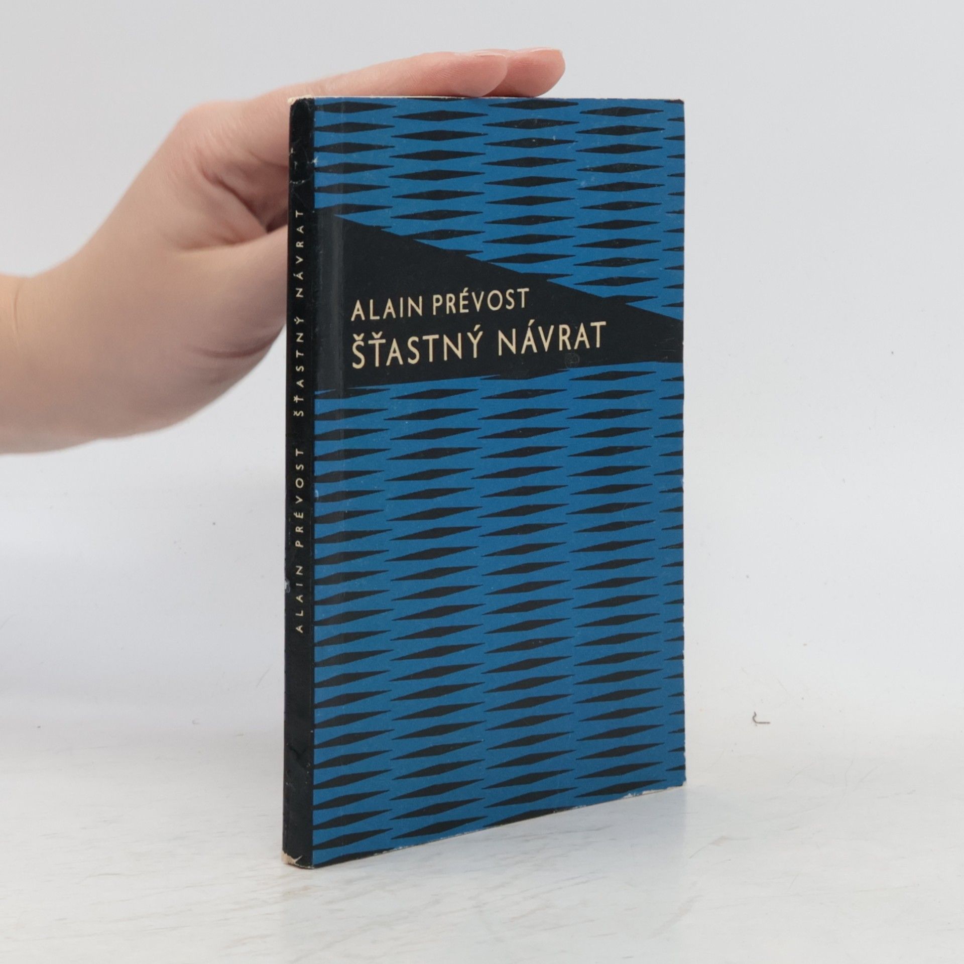 Prévost Alain Šťastný návrat