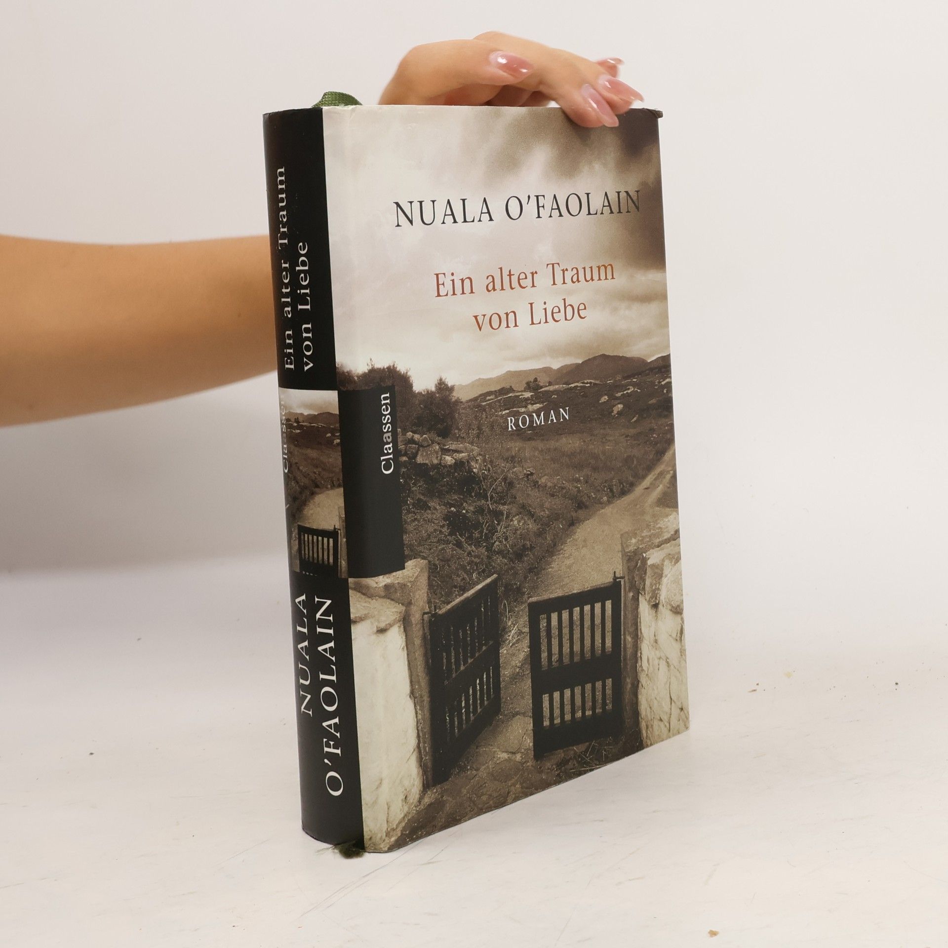 Nuala O. Faolain Ein alter Traum von Liebe