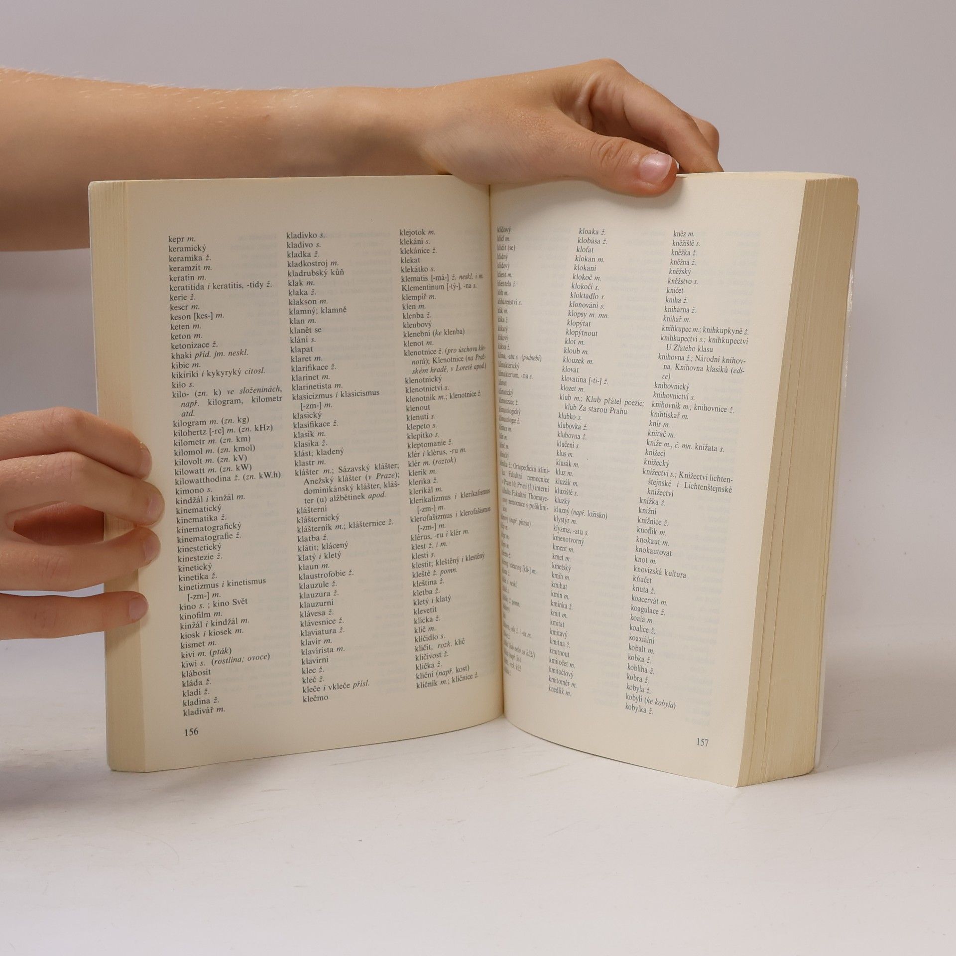 Various authors Pravidla českého pravopisu