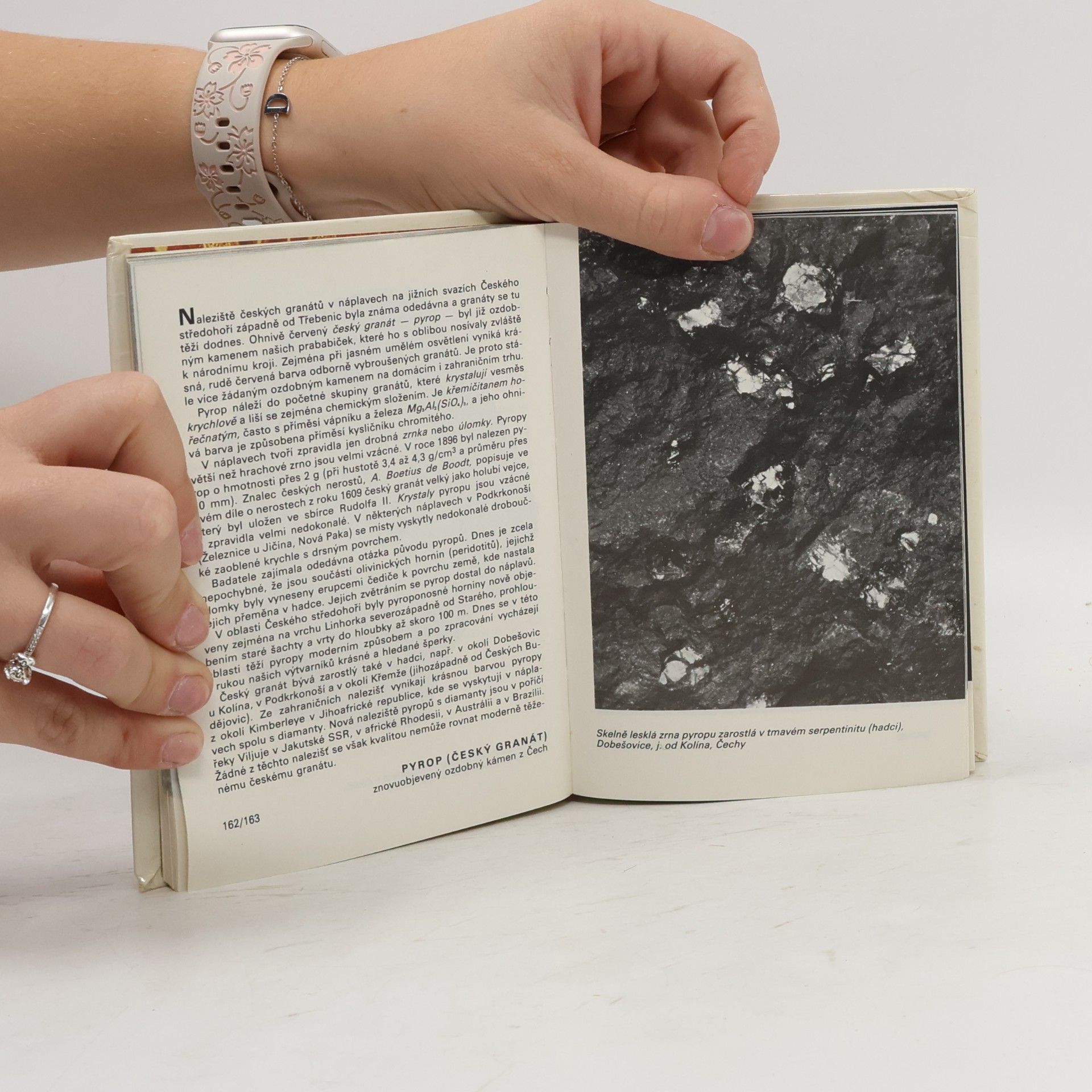 Karel Tuček Kapesní atlas nerostů a hornin