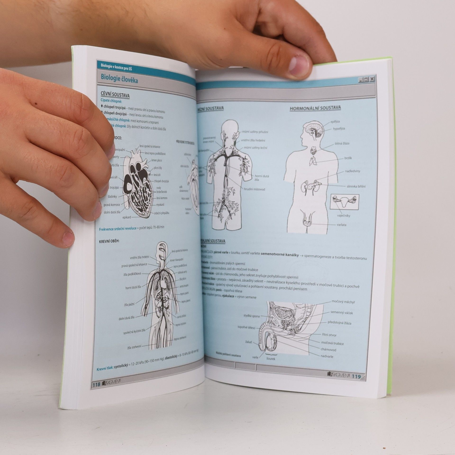 Hana Hančová Biologie v kostce : pro střední školy