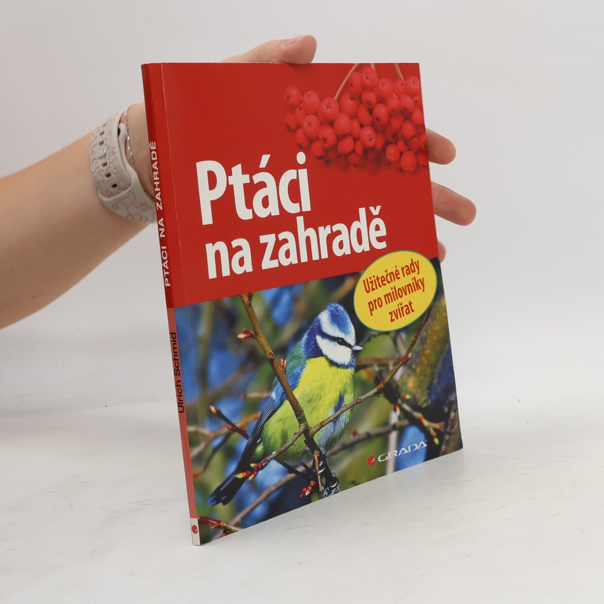 Ulrich Schmid Ptáci na zahradě. Užitečné rady pro milovníky přírody