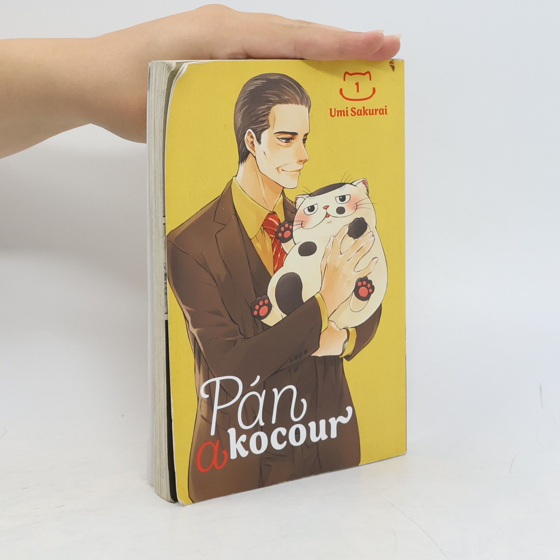 Umi Sakurai Pán a kocour 1