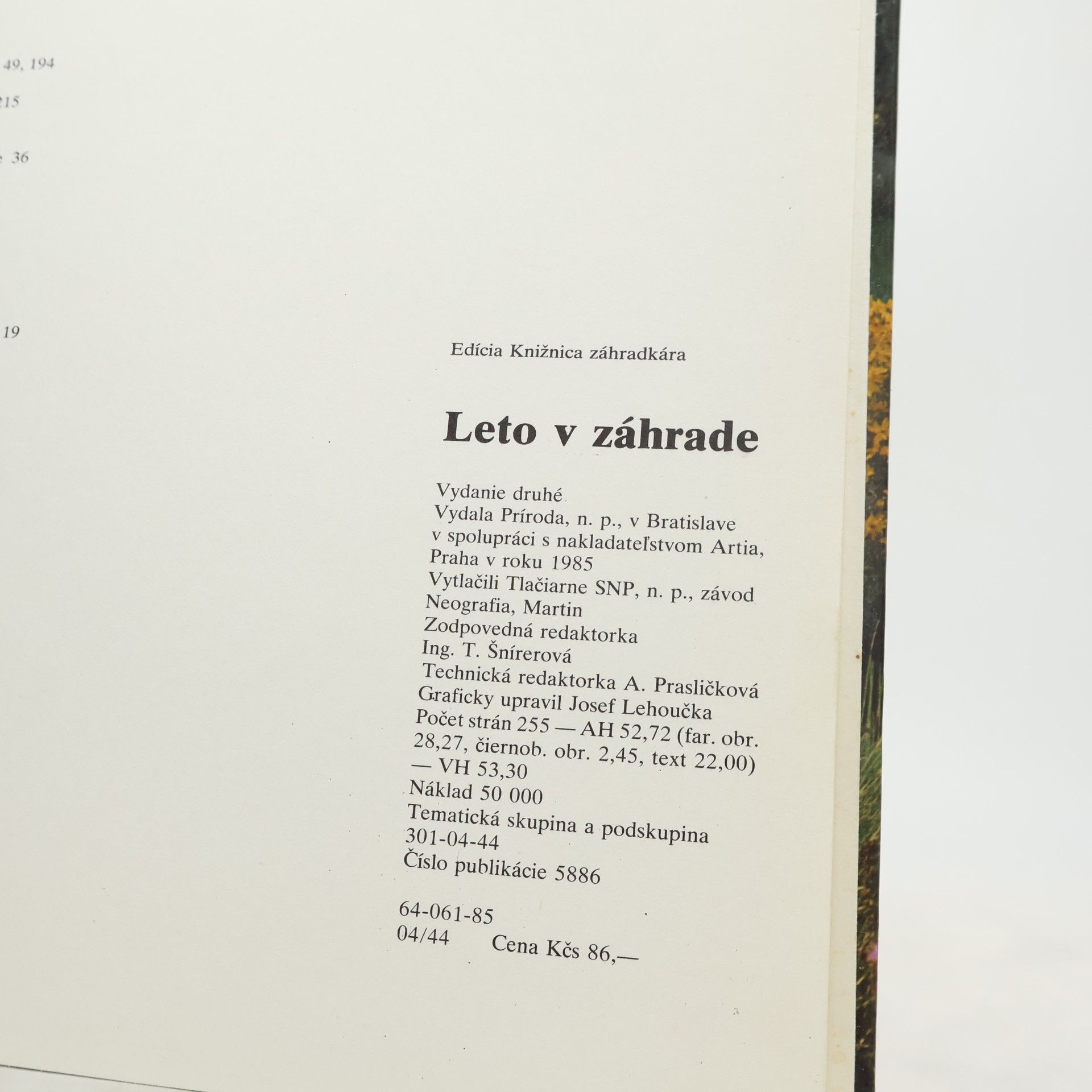 Jan Tykač Leto v záhrade
