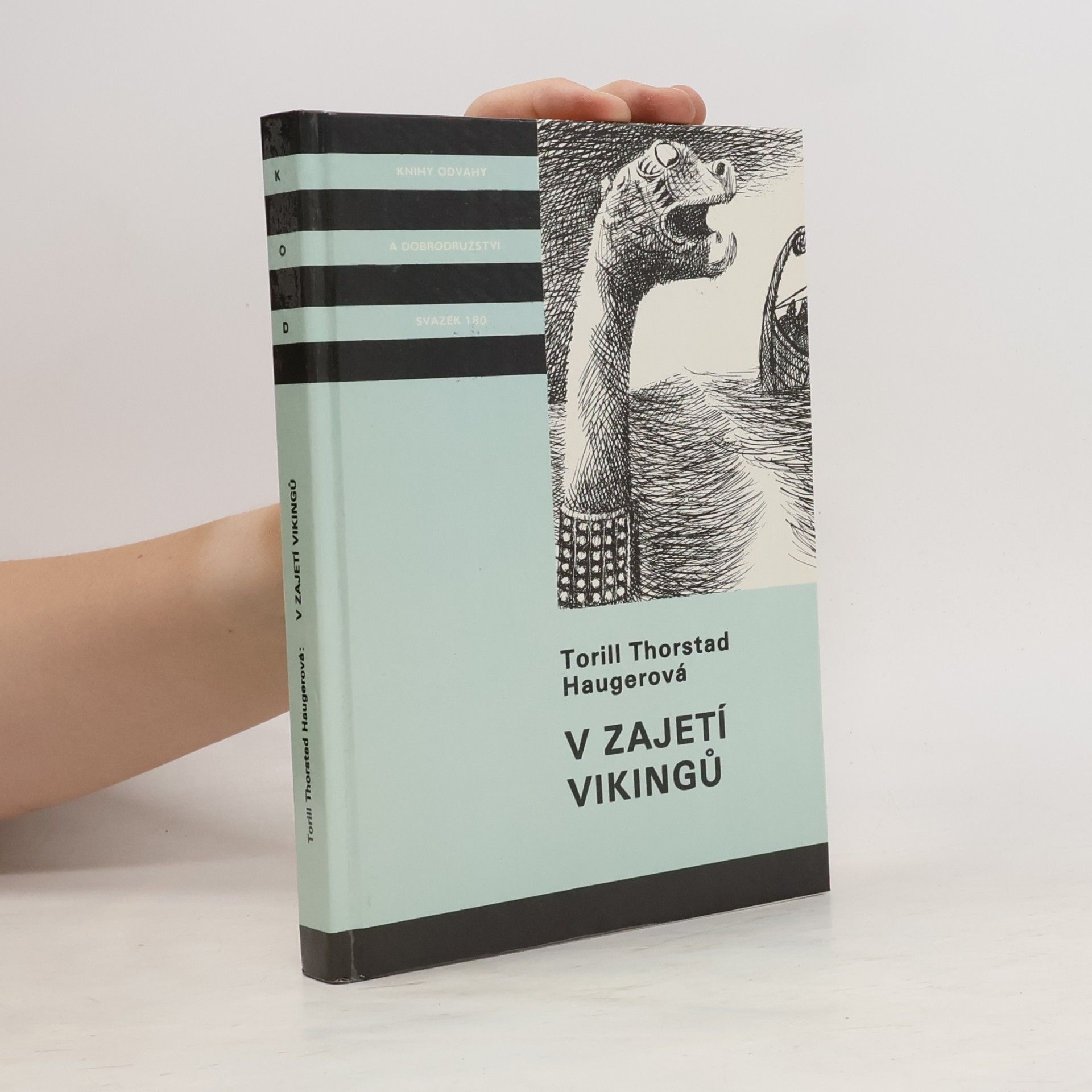 V zajetí vikingů