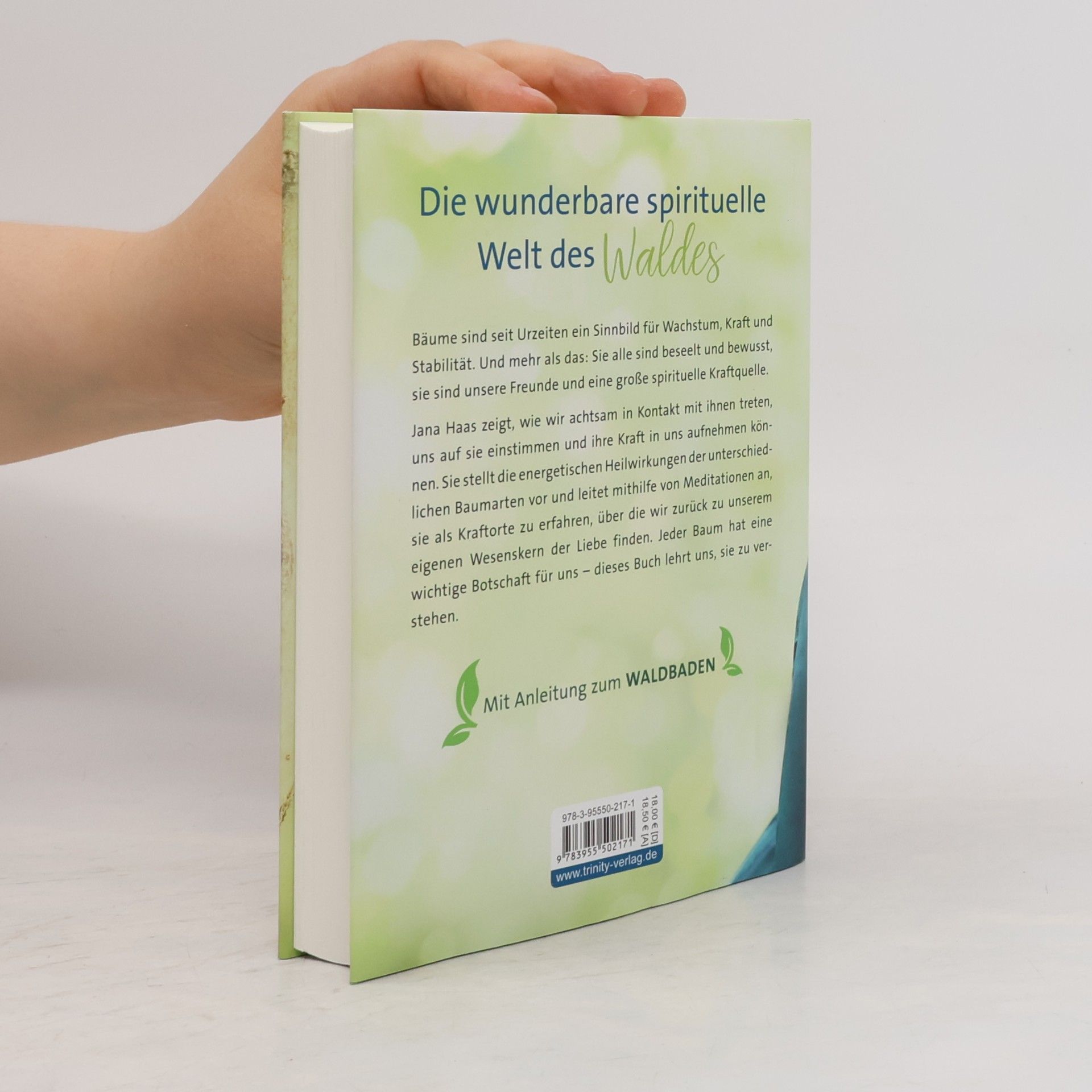 Jana Haas Das Mysterium der Bäume