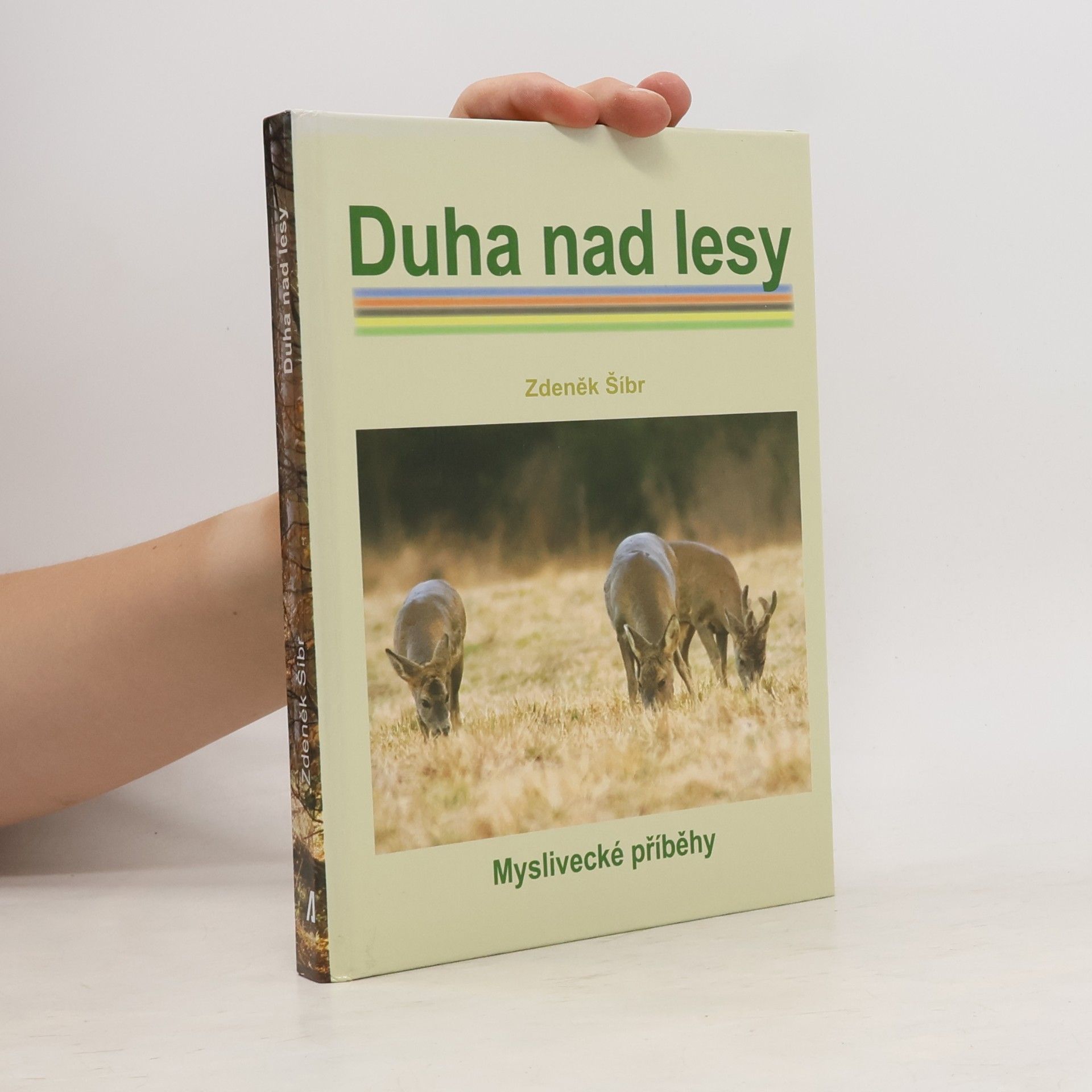 Zdeněk Šíbr Duha nad lesy