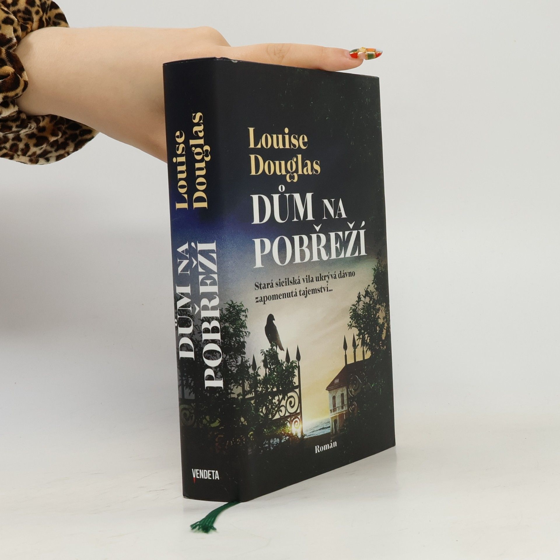 Pavla Koós Dům na pobřeží
