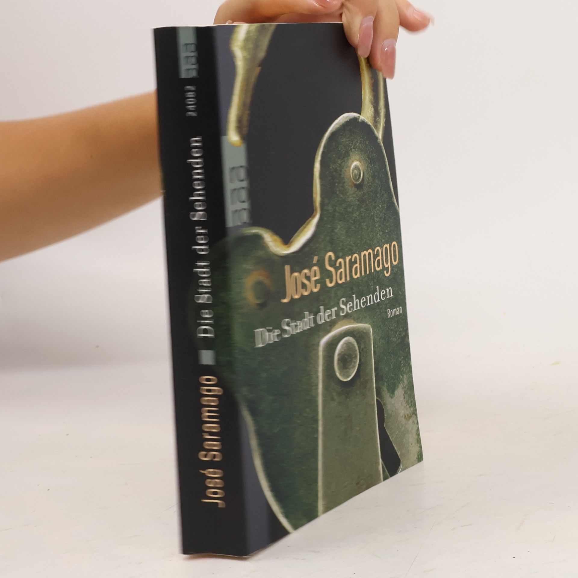 José Saramango Die Stadt der Sehenden