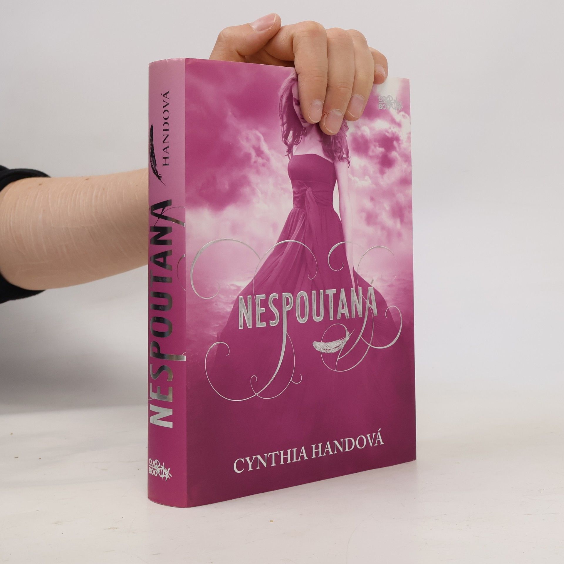 Cynthia Hand Nespoutaná. Třetí díl