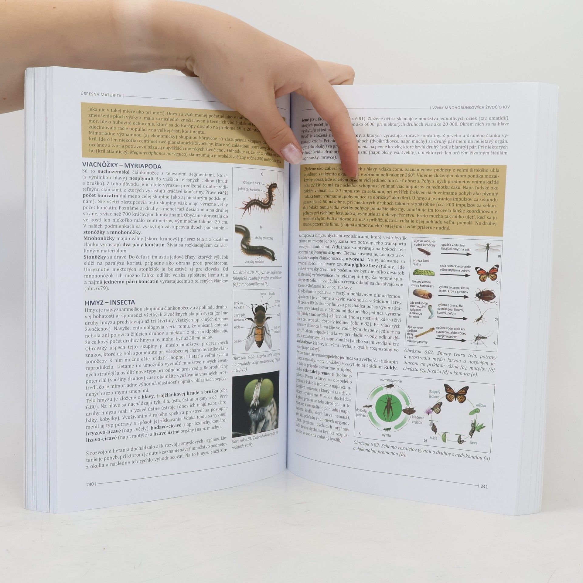 Collectif d'auteurs Úspešná maturita: Biológia