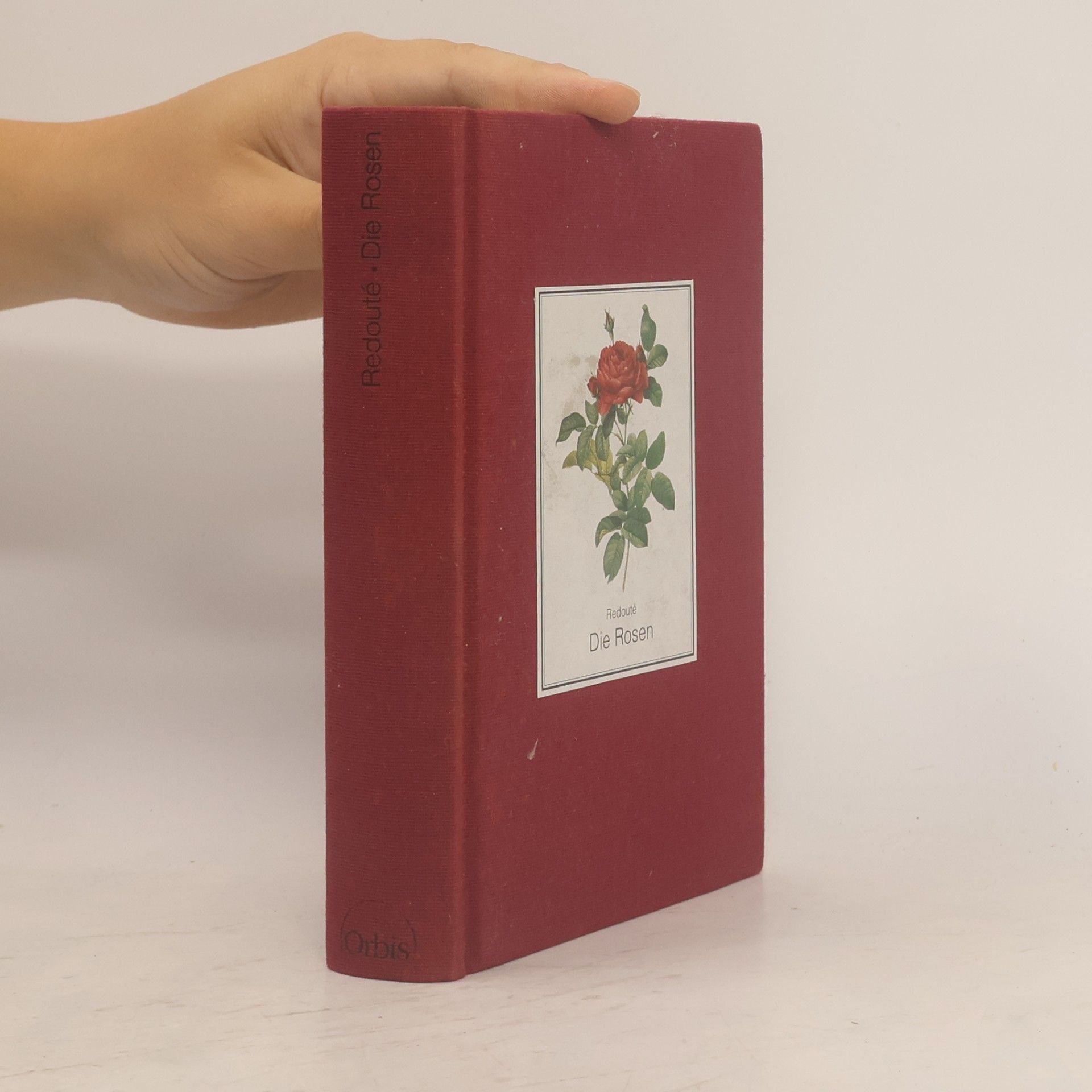 Pierre-Joseph Redouté Die Rosen
