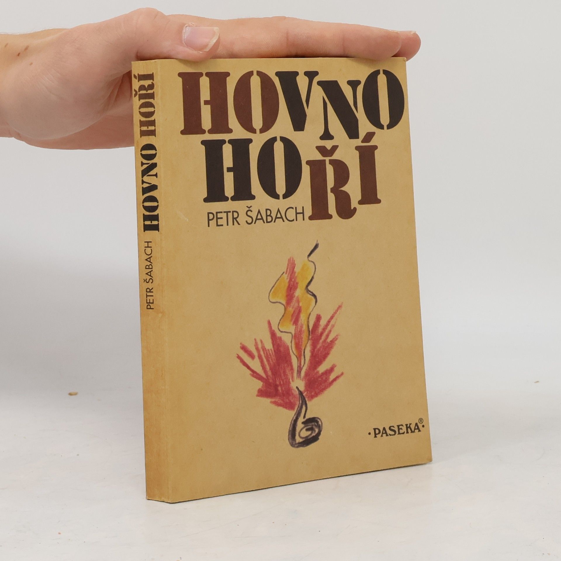 Petr Šabach Hovno hoří