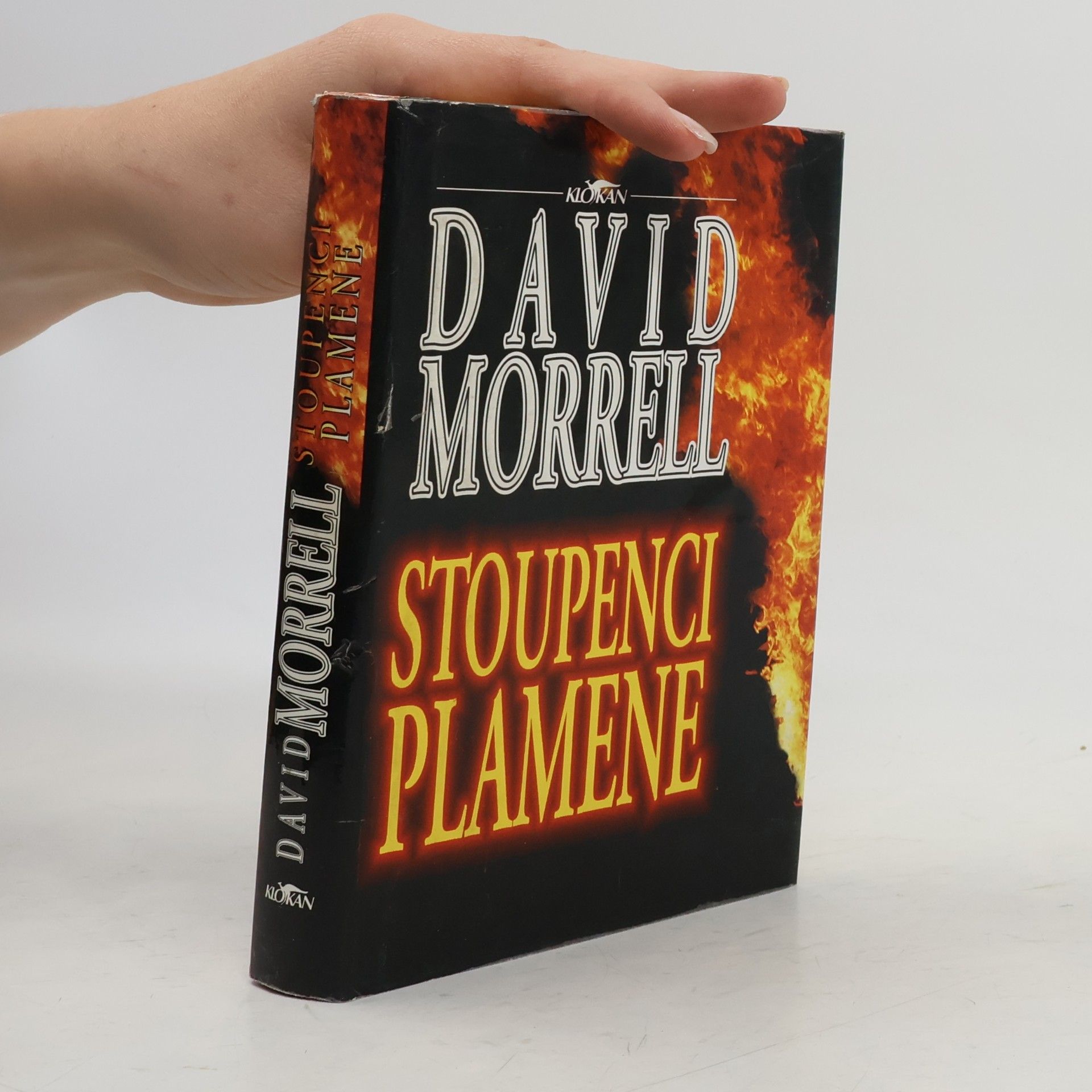 David Morrell Stoupenci plamene