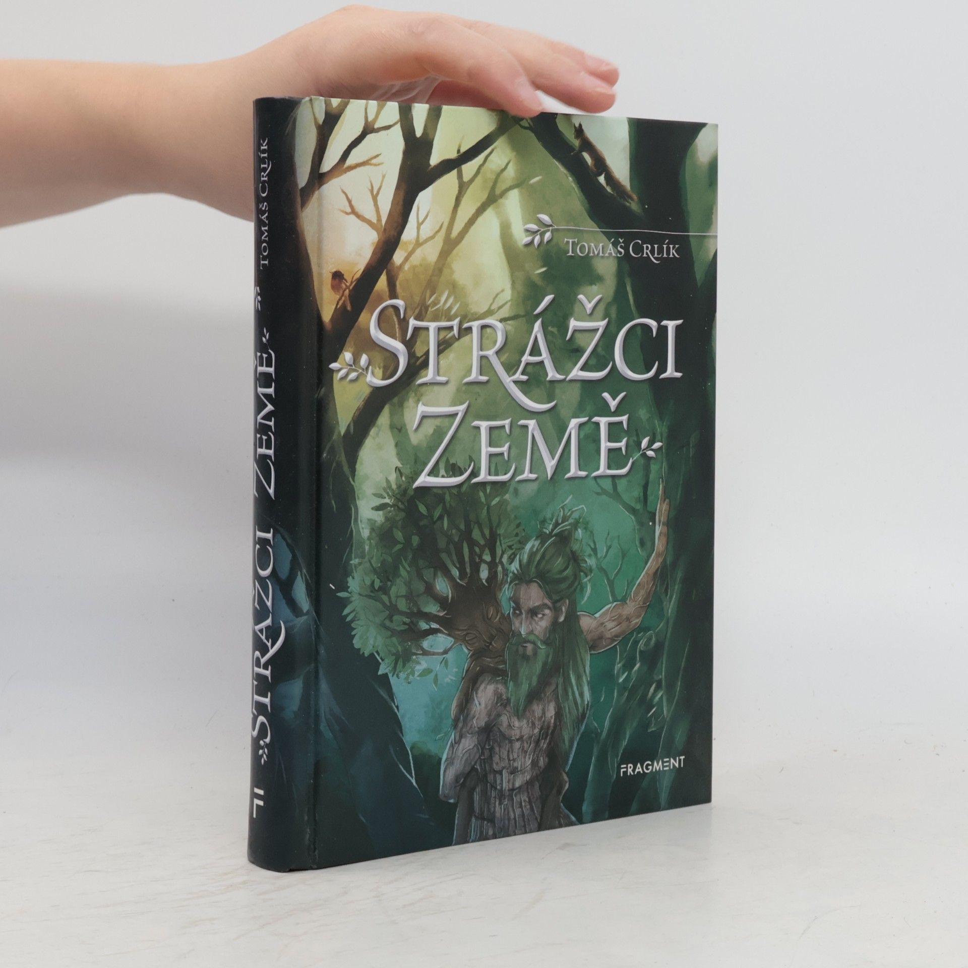 Ergall Strážci Země