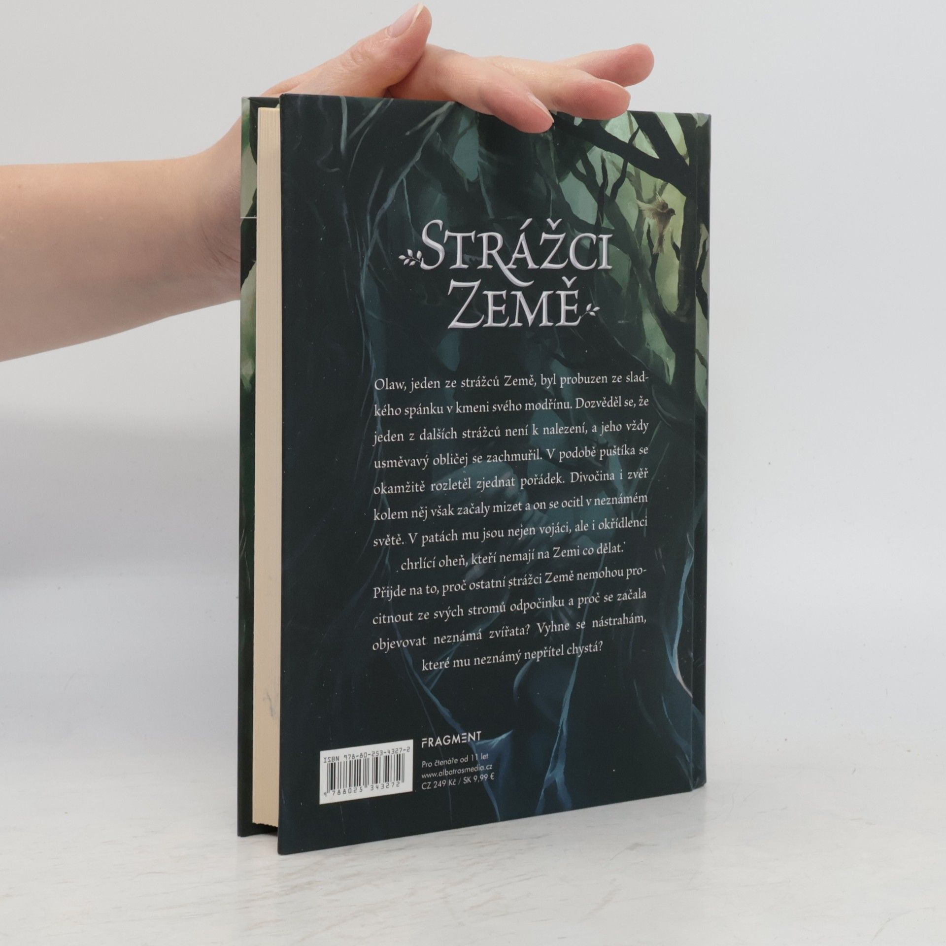 Ergall Strážci Země