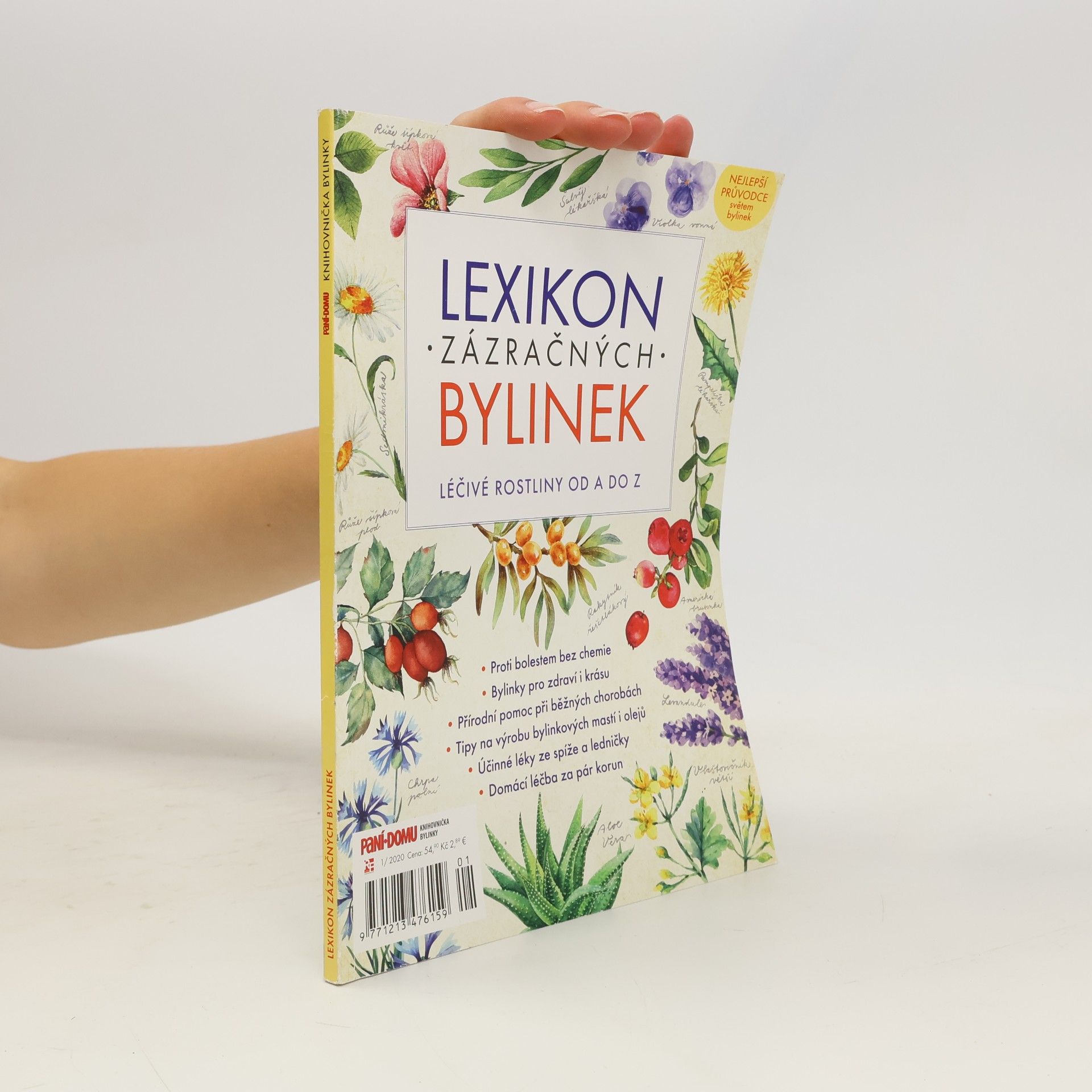 Autores varios Lexikon zázračných bylinek