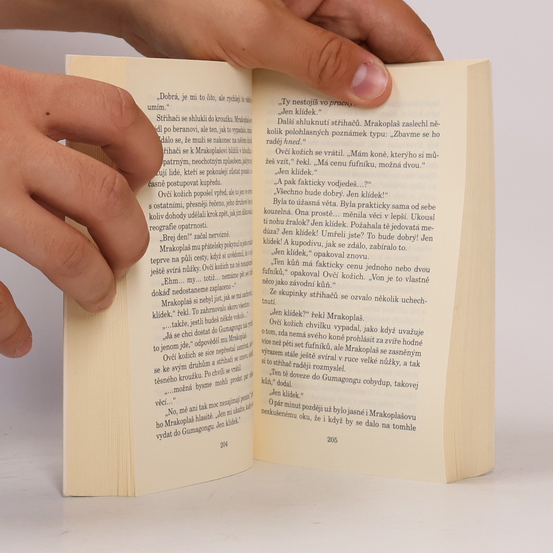 Terry Pratchett Poslední kontinent