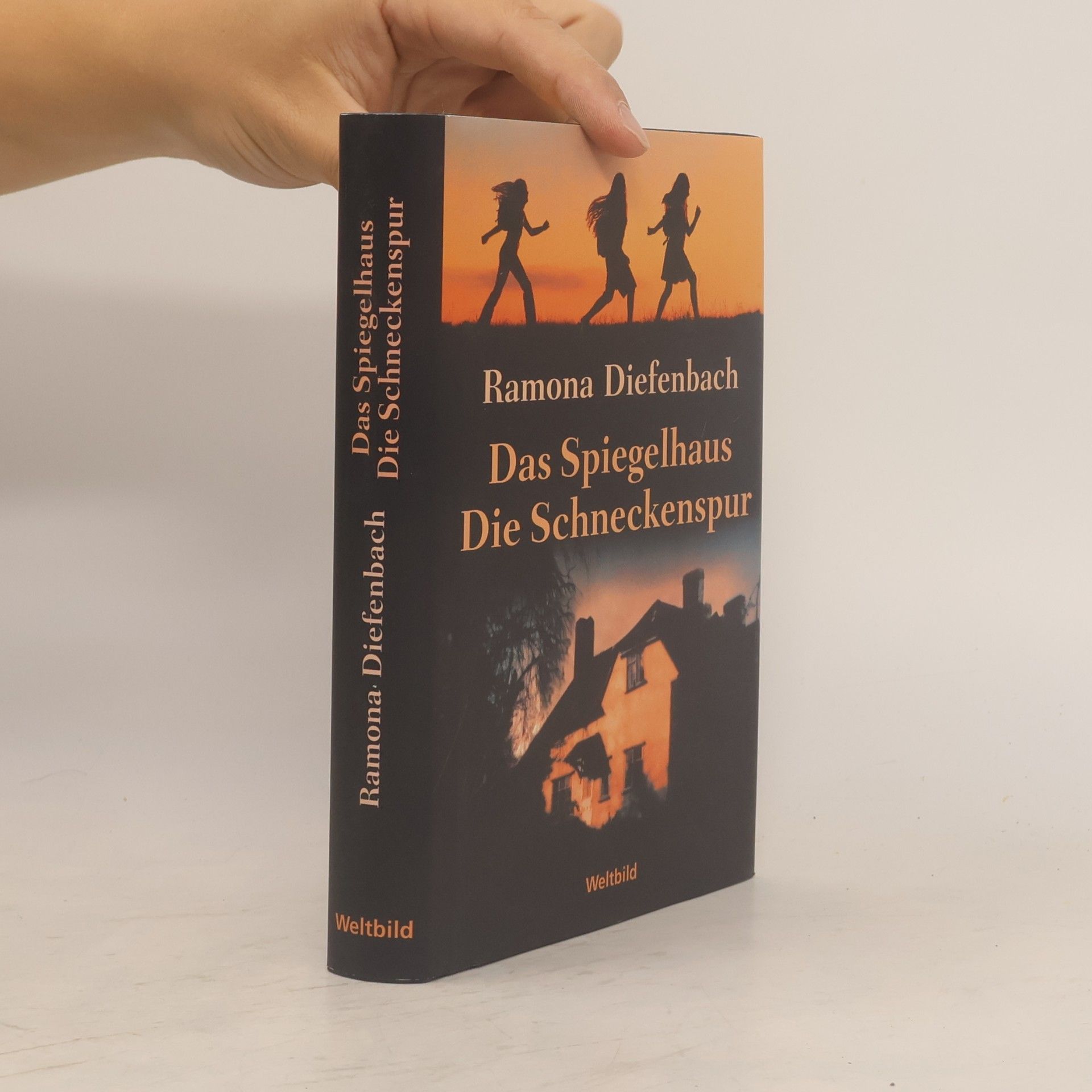 Ramona Diefenbach Das Spiegelhaus