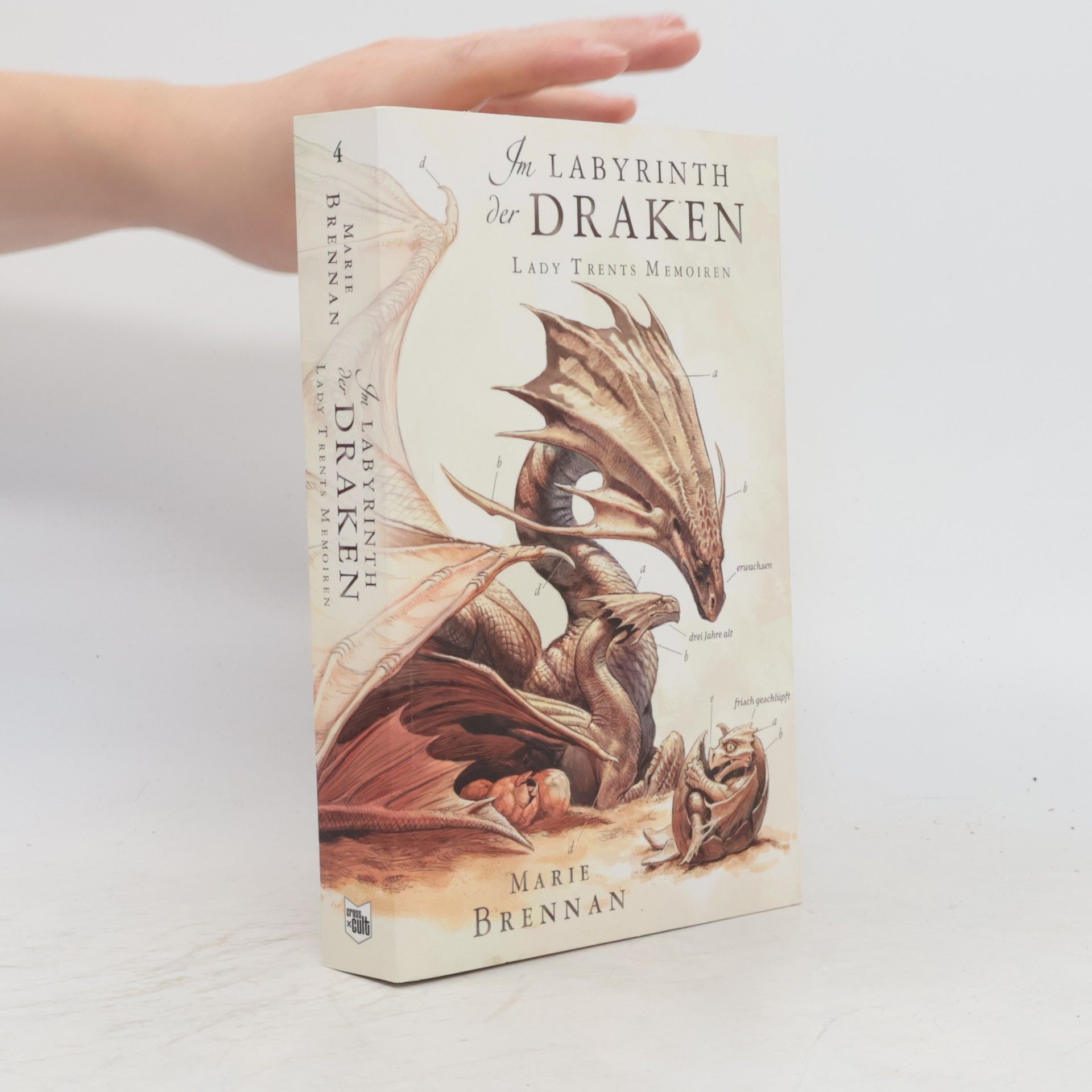 Marie Brennan Im Labyrinth der Draken