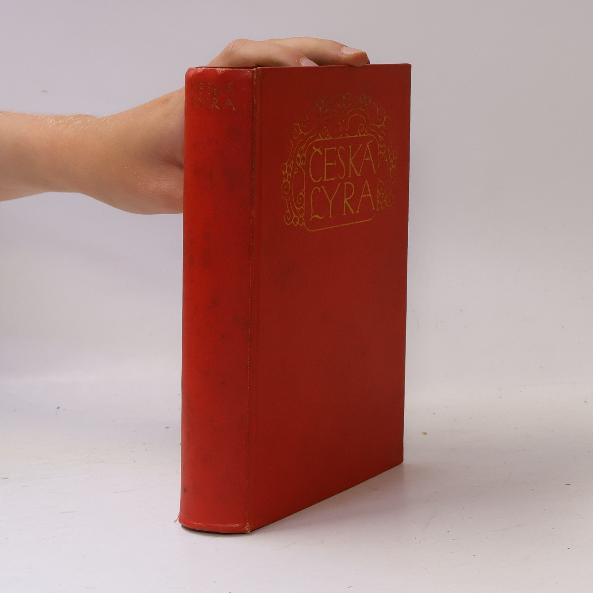 Collectif d'auteurs Český lyra