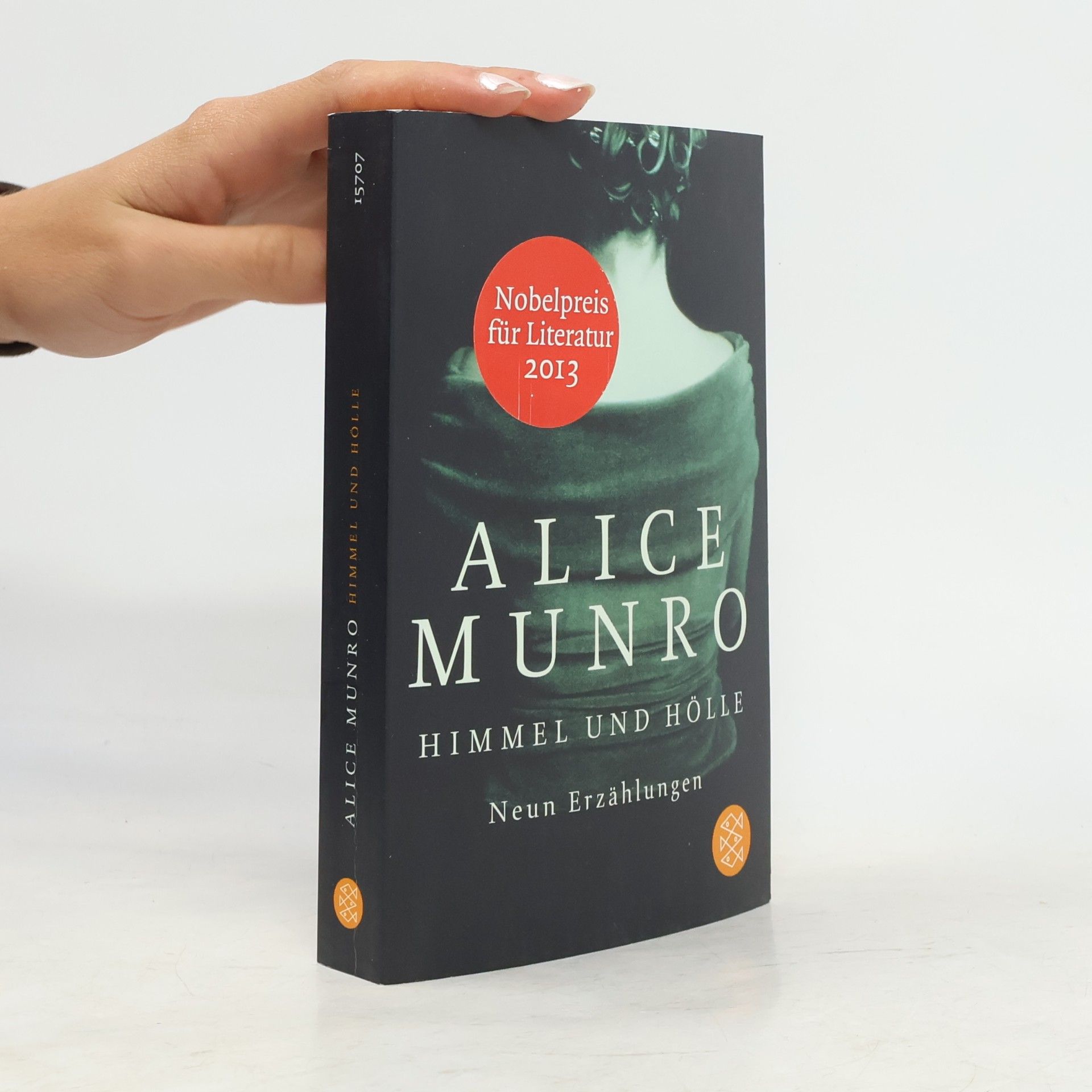 Alice Munro Himmel und Hölle