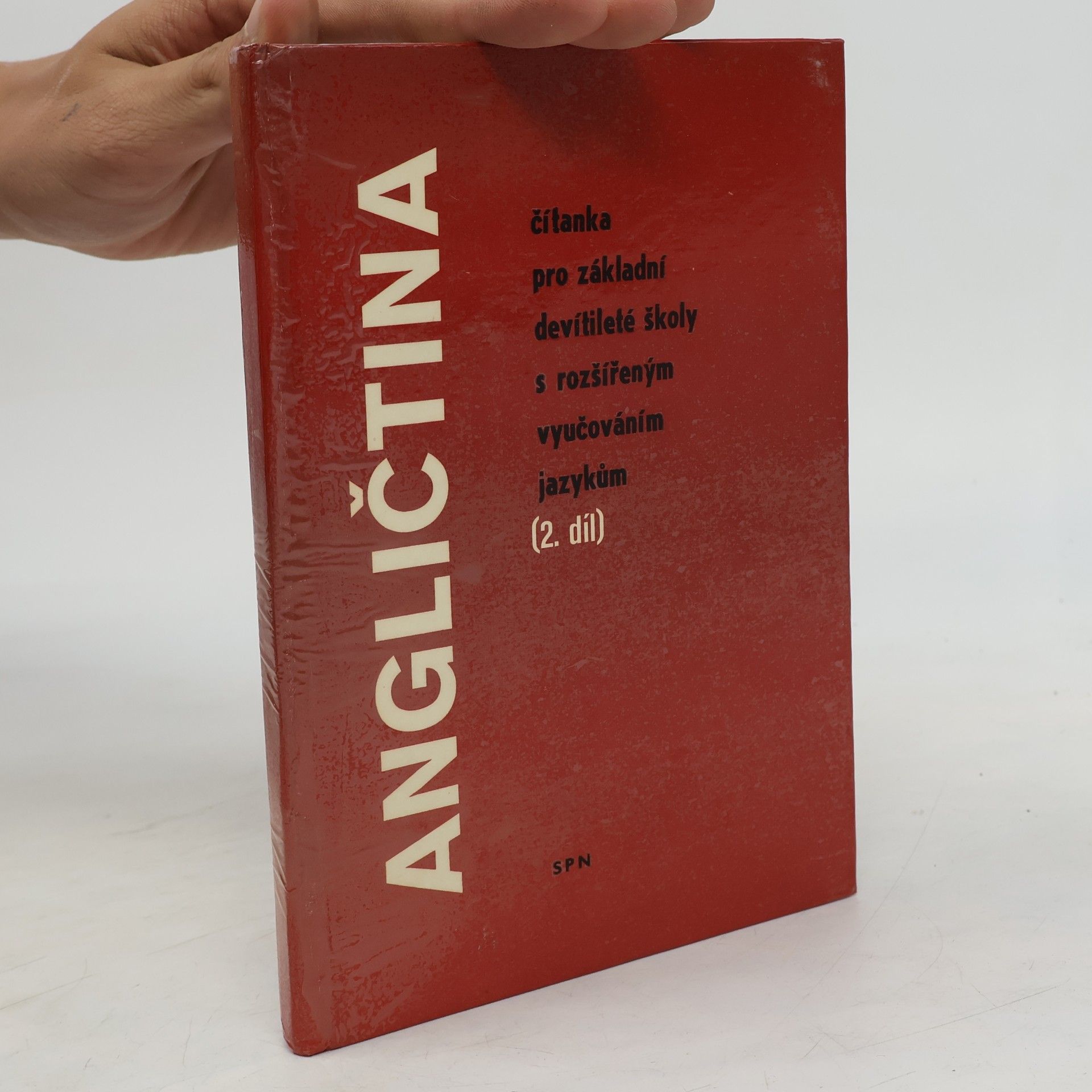 Julie Kubíčková Angličtina
