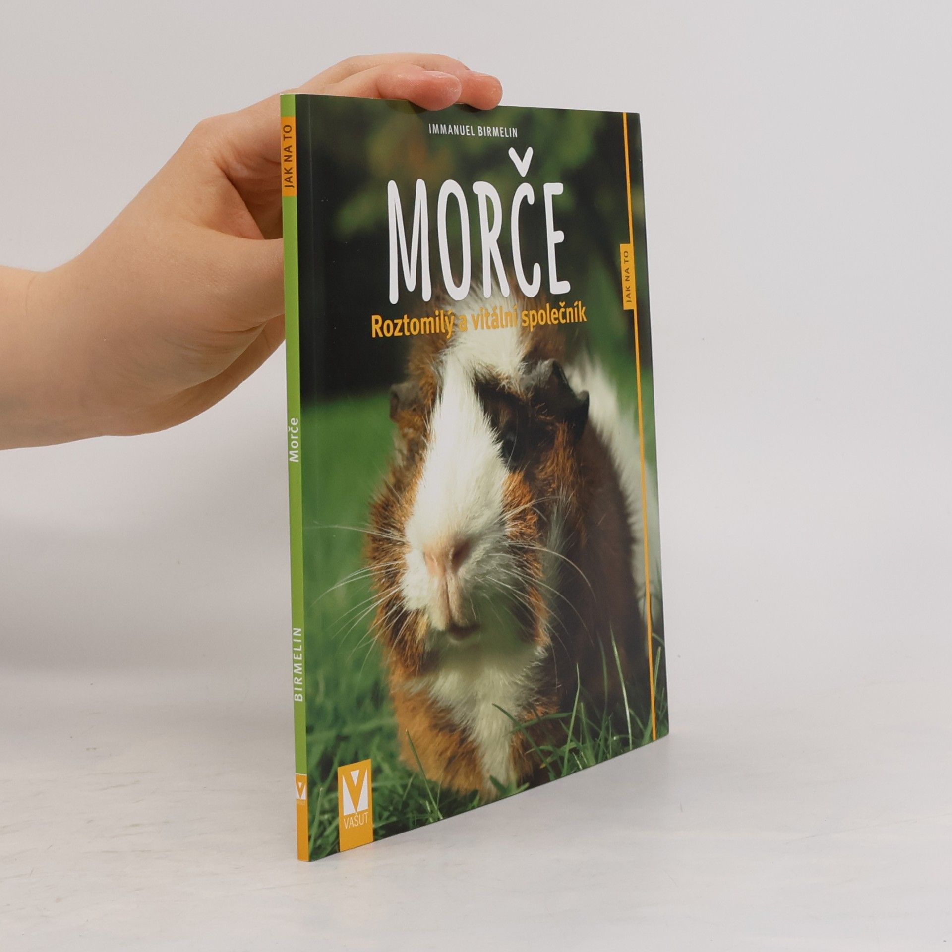 Immanuel Birmelin Morče. Roztomilý a vitální společník