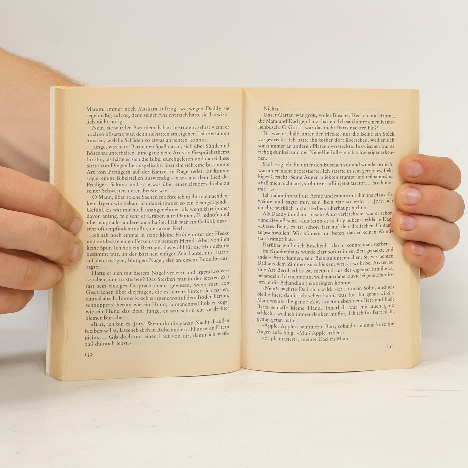 V. C. Andrews Dornen des Glücks