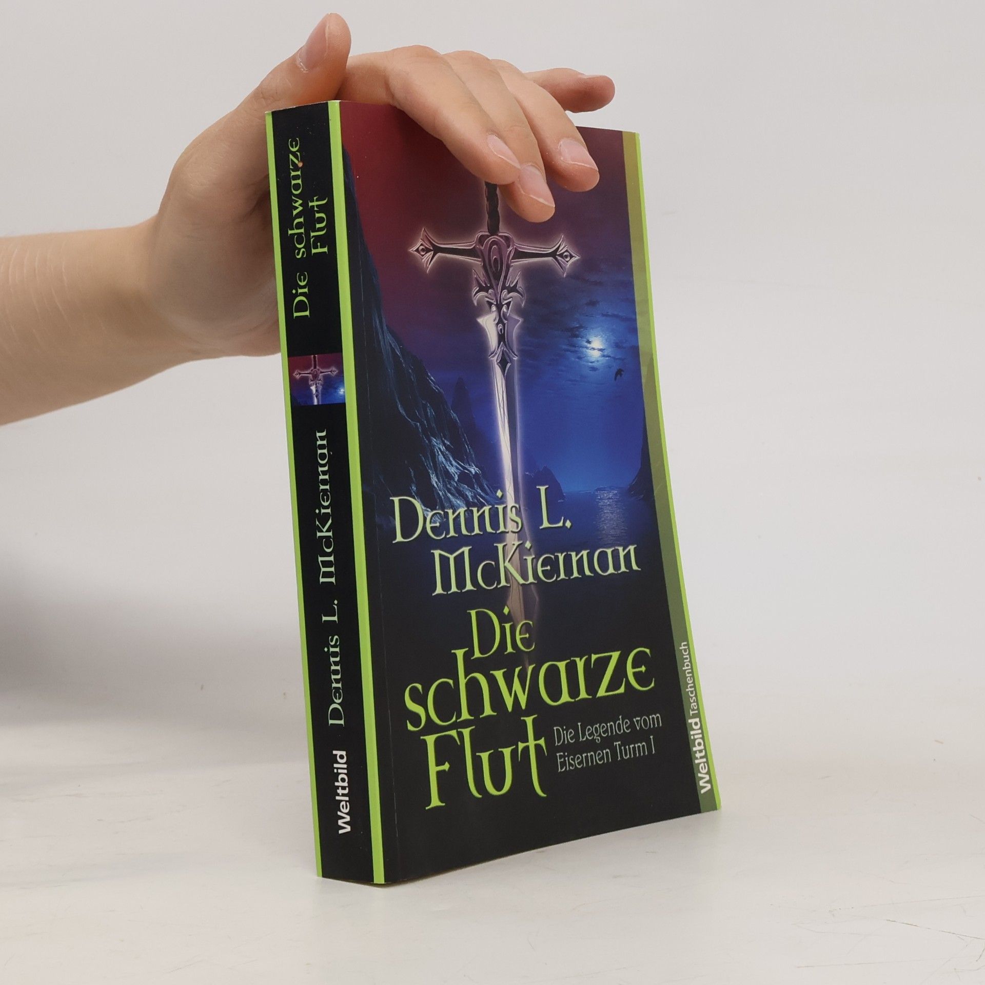 Dennis L. McKiernan Die schwarze Flut