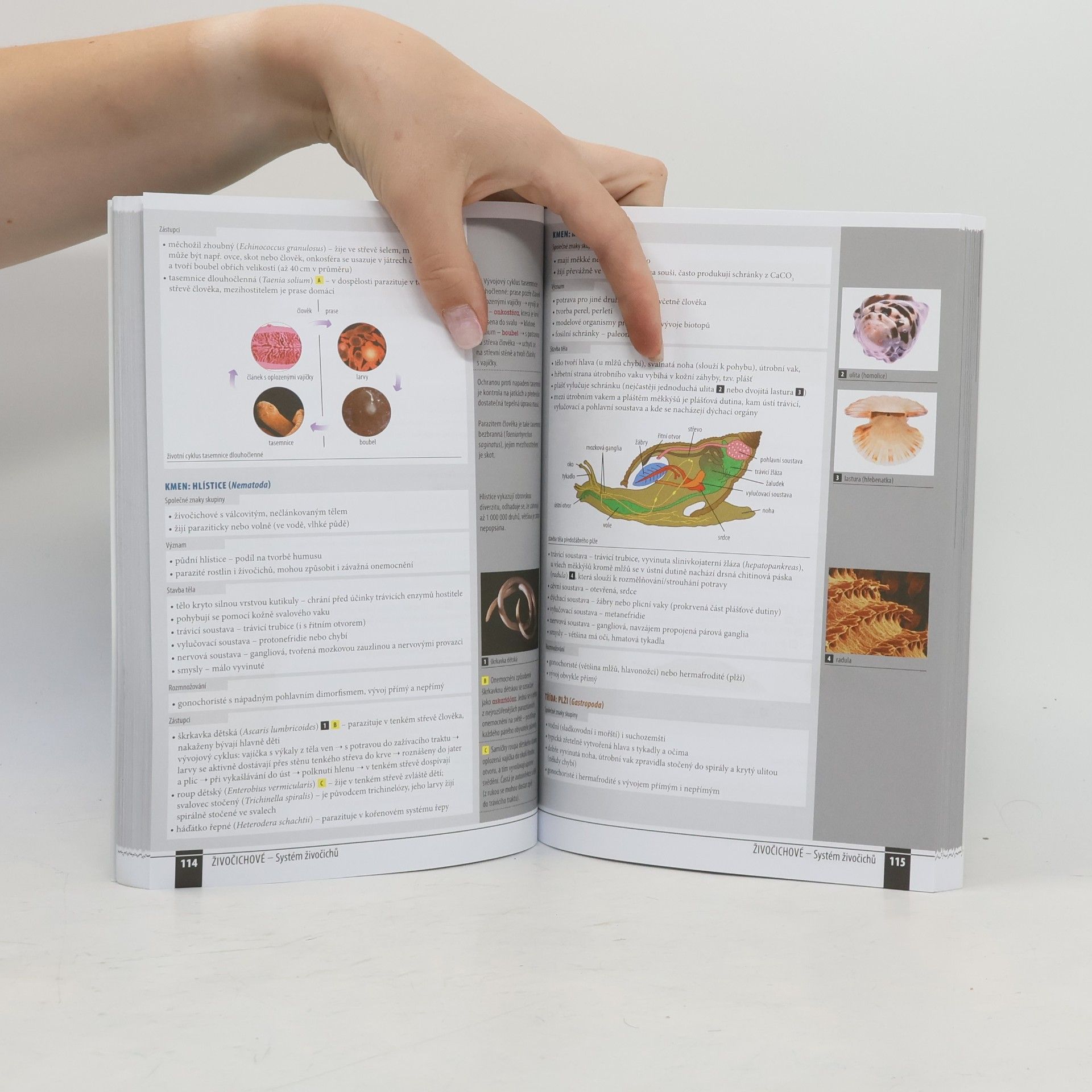 Auteurscollectief Odmaturuj! z biologie