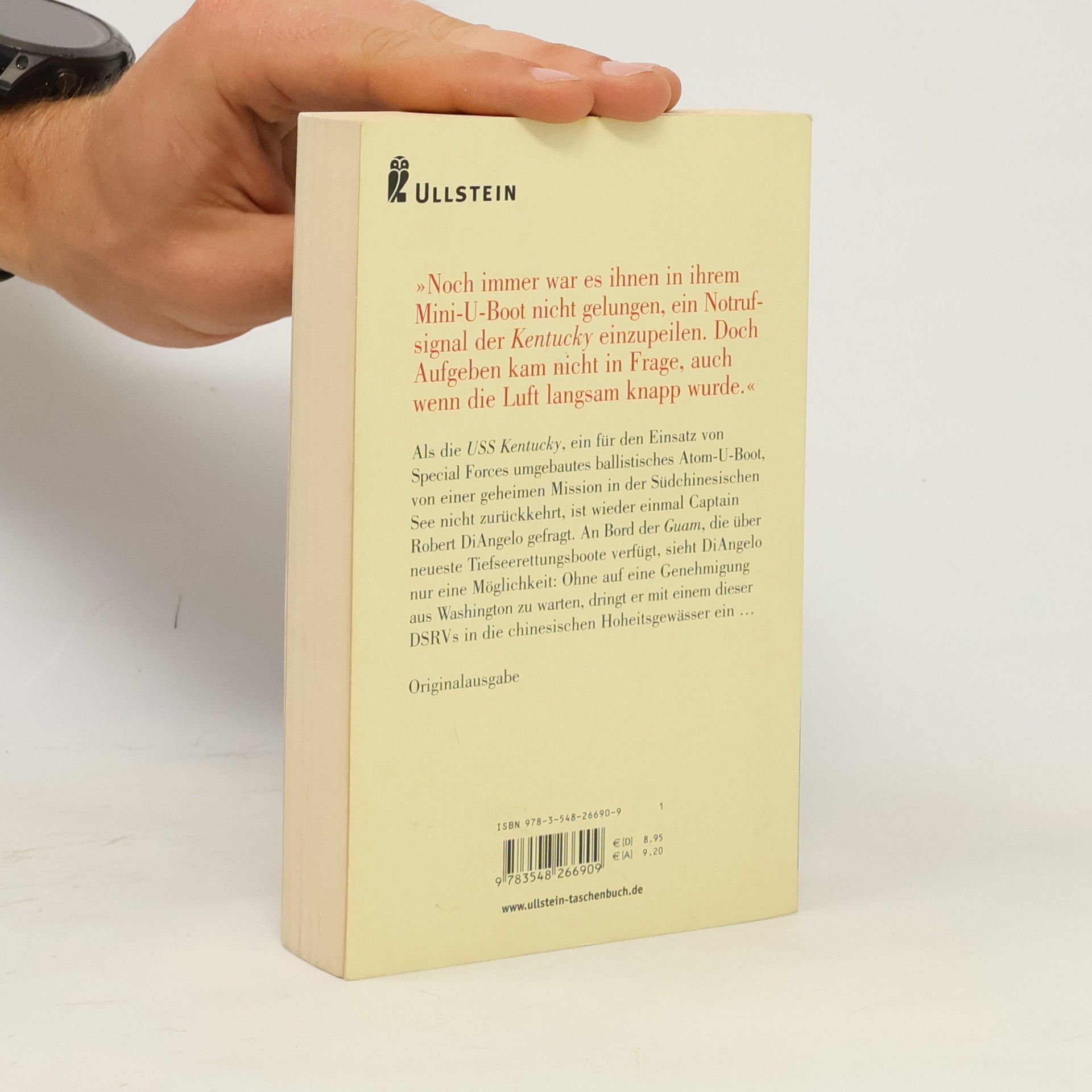 Peter Brendt Subdown. Roman. Originalausgabe