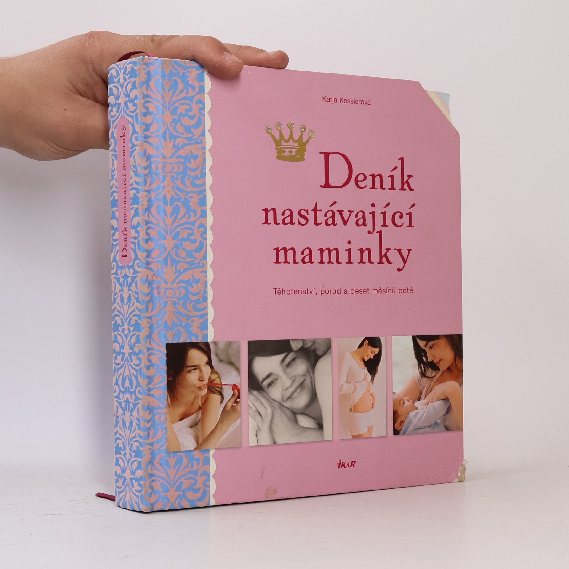 Katja Kessler Deník nastávající maminky