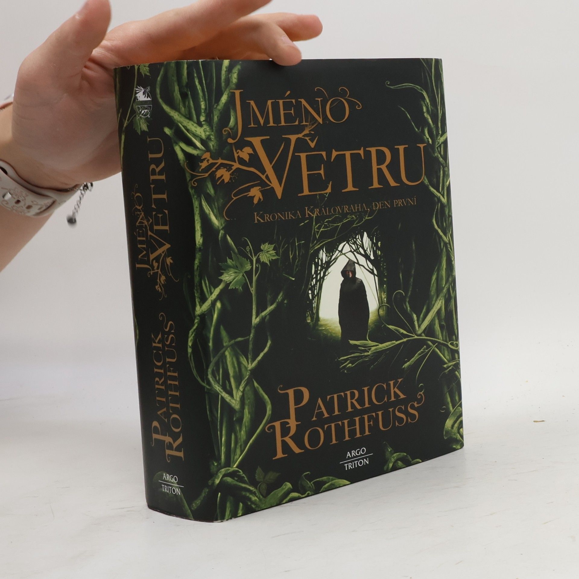 Patrick Rothfuss Jméno větru