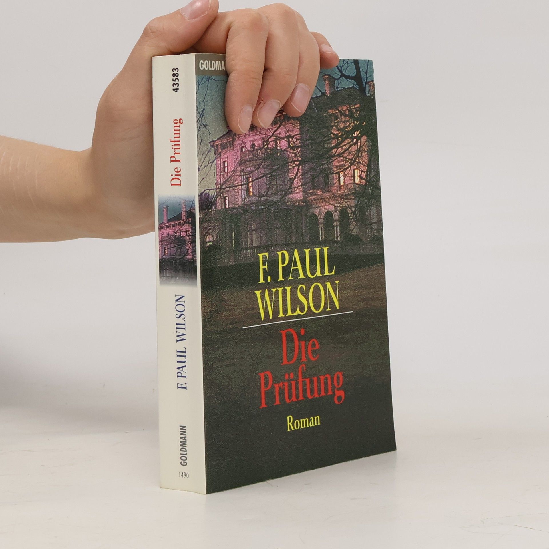 F. Paul Wilson Die Prüfung