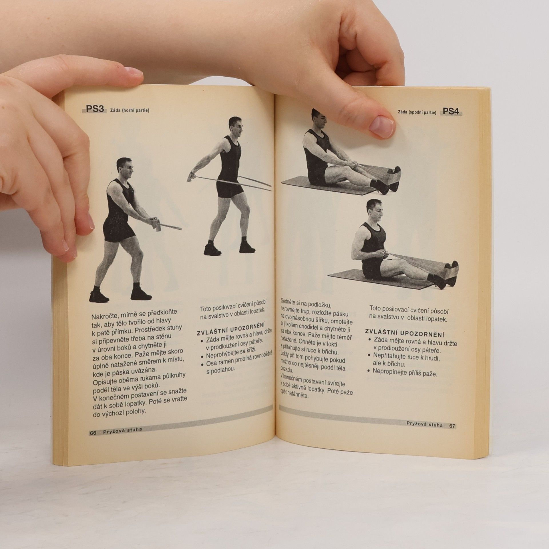 Stefan Schönthaler Bodytrainer. Bodyprogram