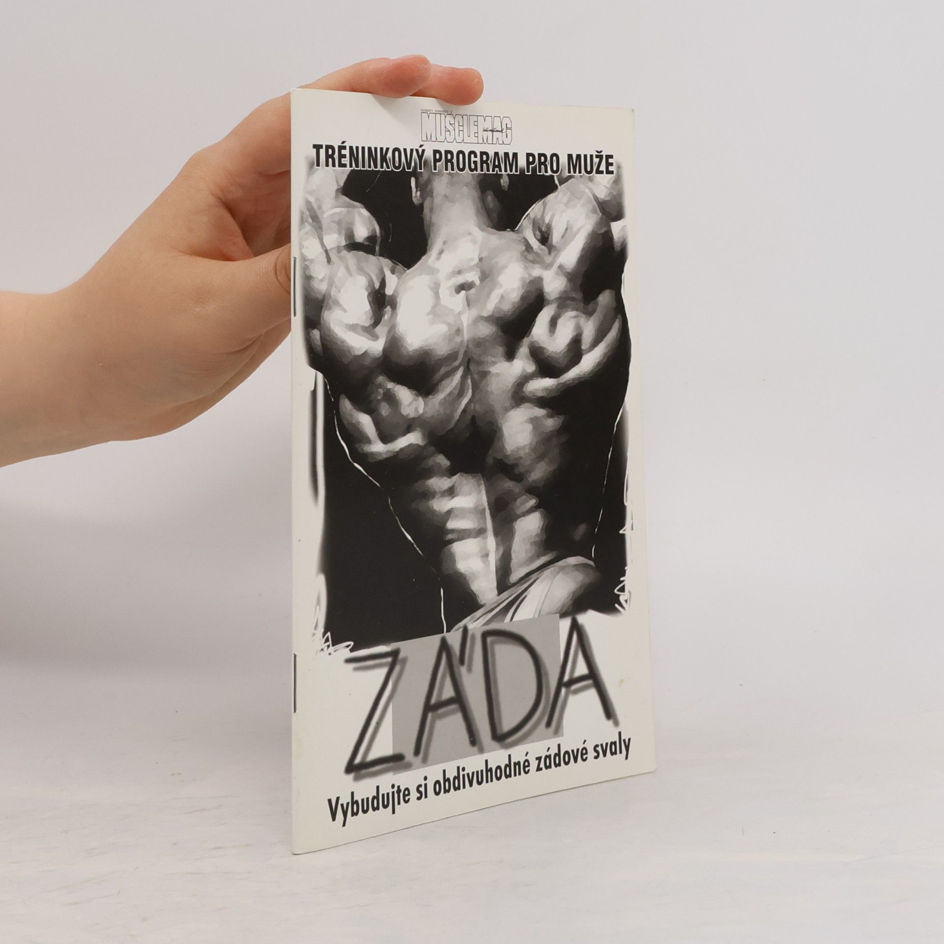 Collectif d'auteurs Tréninkový program pro muže. Záda
