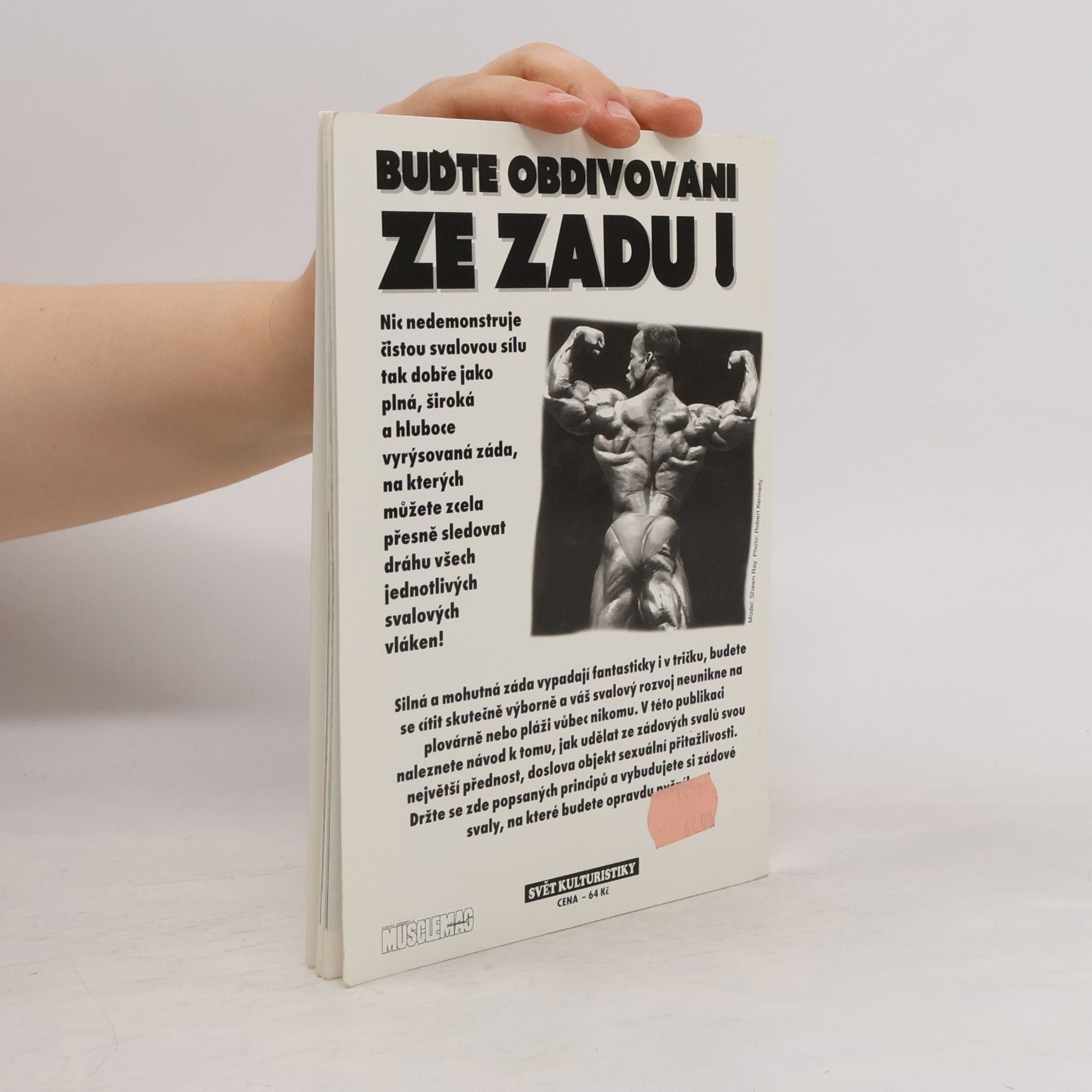 Kolektív autorov Tréninkový program pro muže. Záda