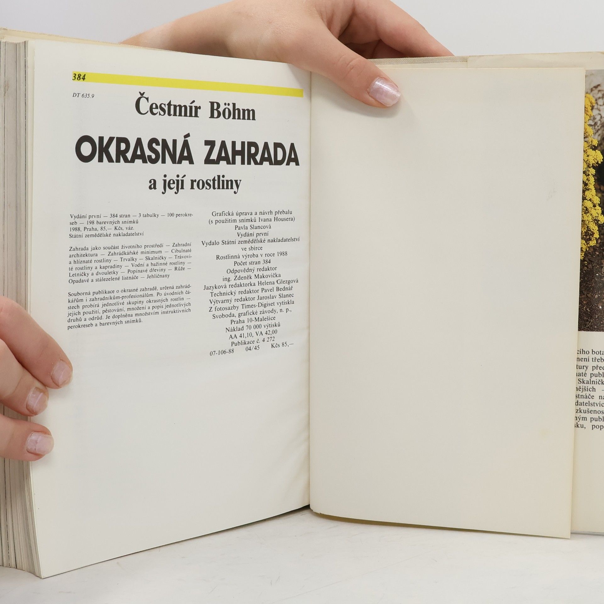 Čestmír Böhm Okrasná zahrada a její rostliny