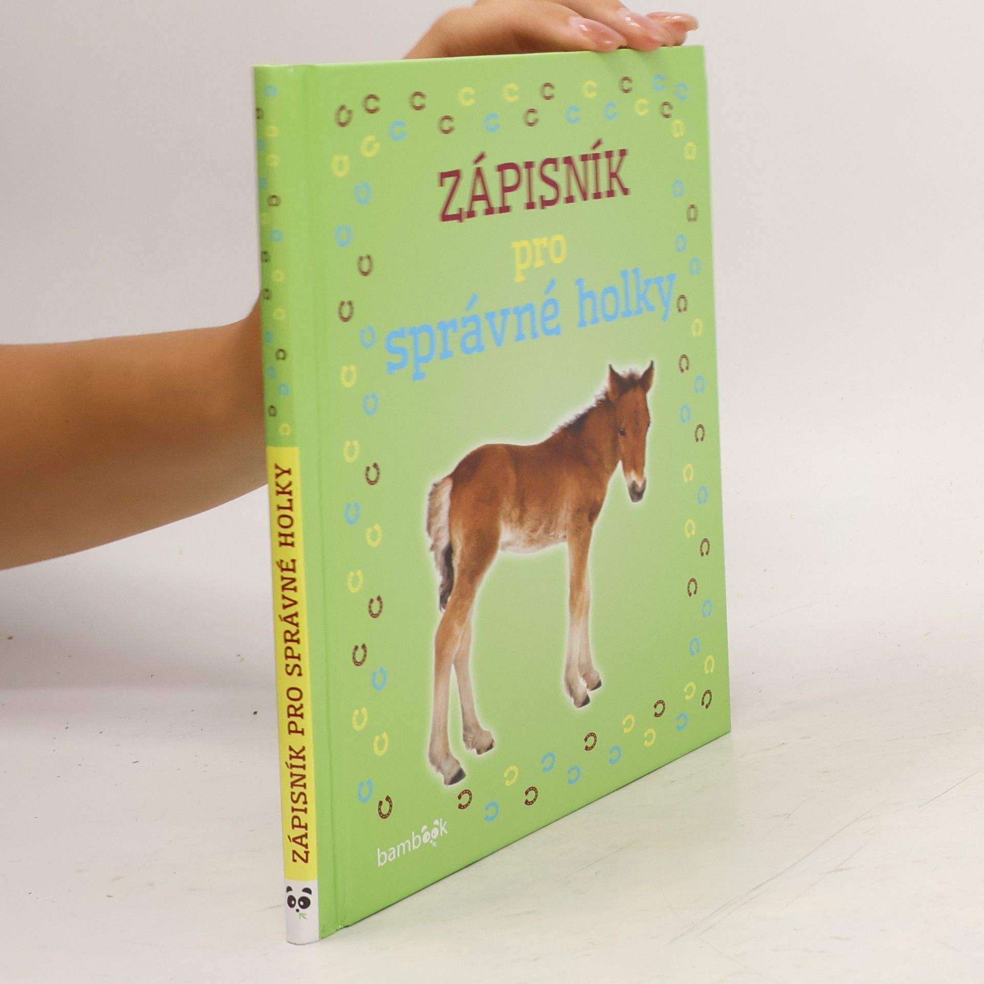 Kolektiv autorů Zápisník pro správné holky - Hříbátka