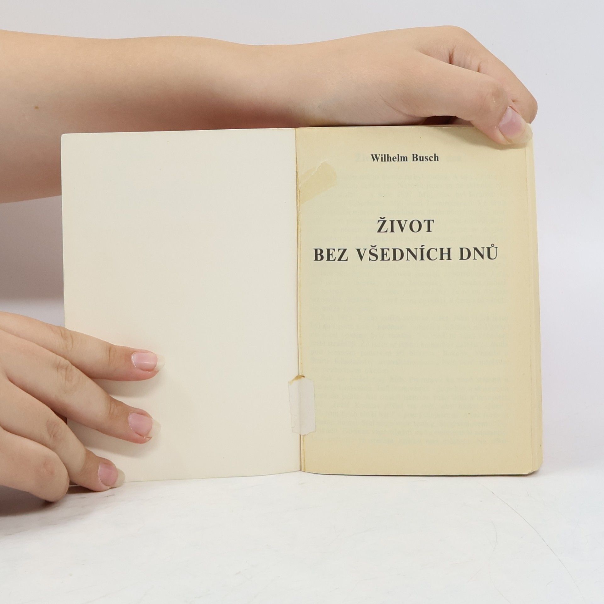 Wilhelm Busch Život bez všedních dnů