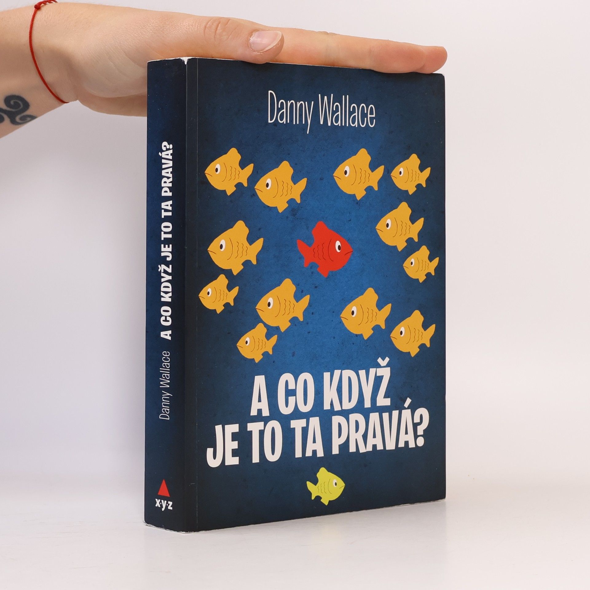 Danny Wallace A co když je to ta pravá?