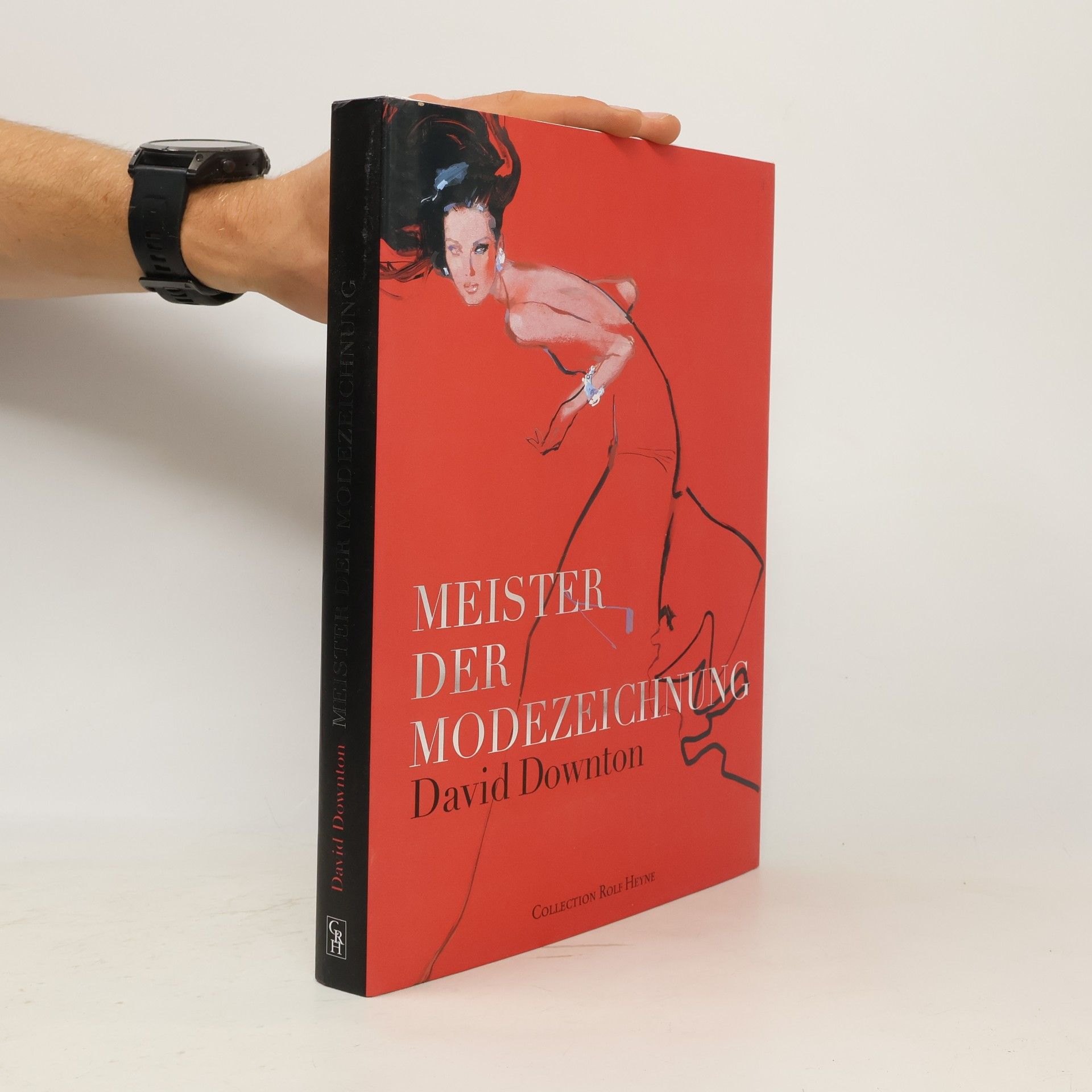 Meister der Modezeichnung