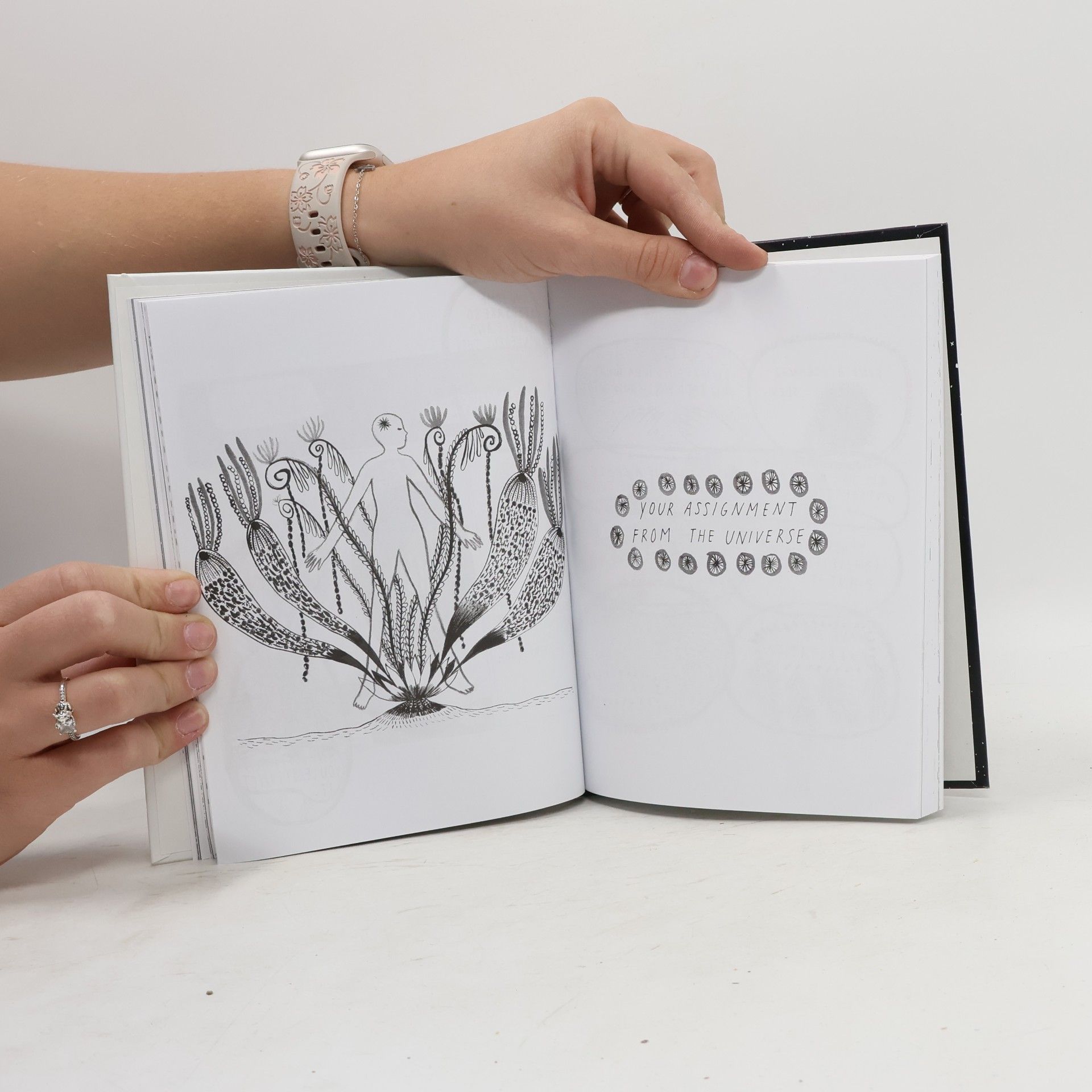 Yumi Sakugawa Your Illustrated Guide to Becoming One with the Universe