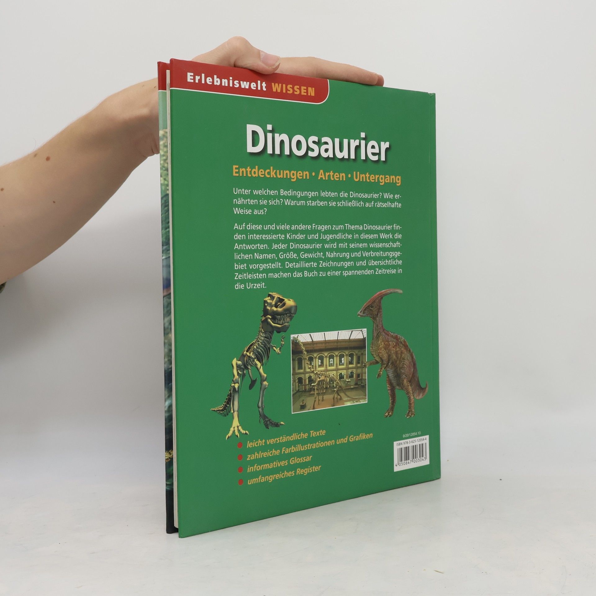 Autores varios Dinosaurier
