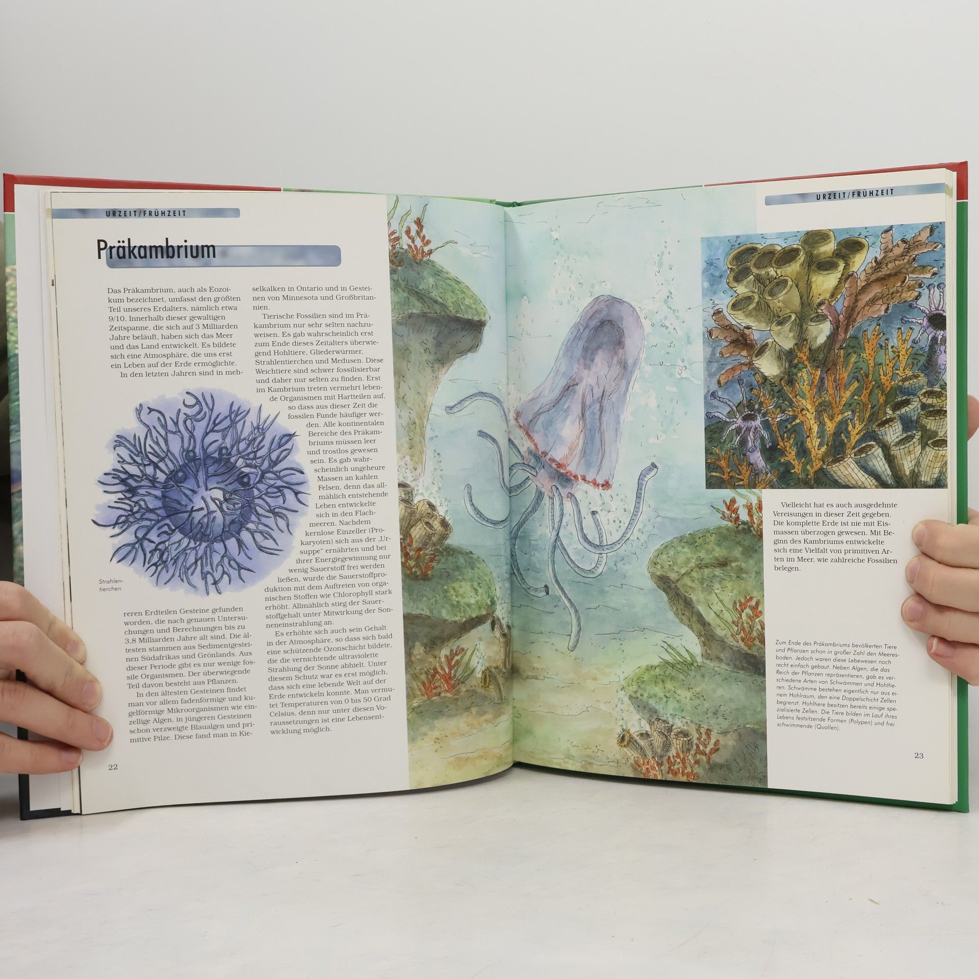 Autores varios Dinosaurier