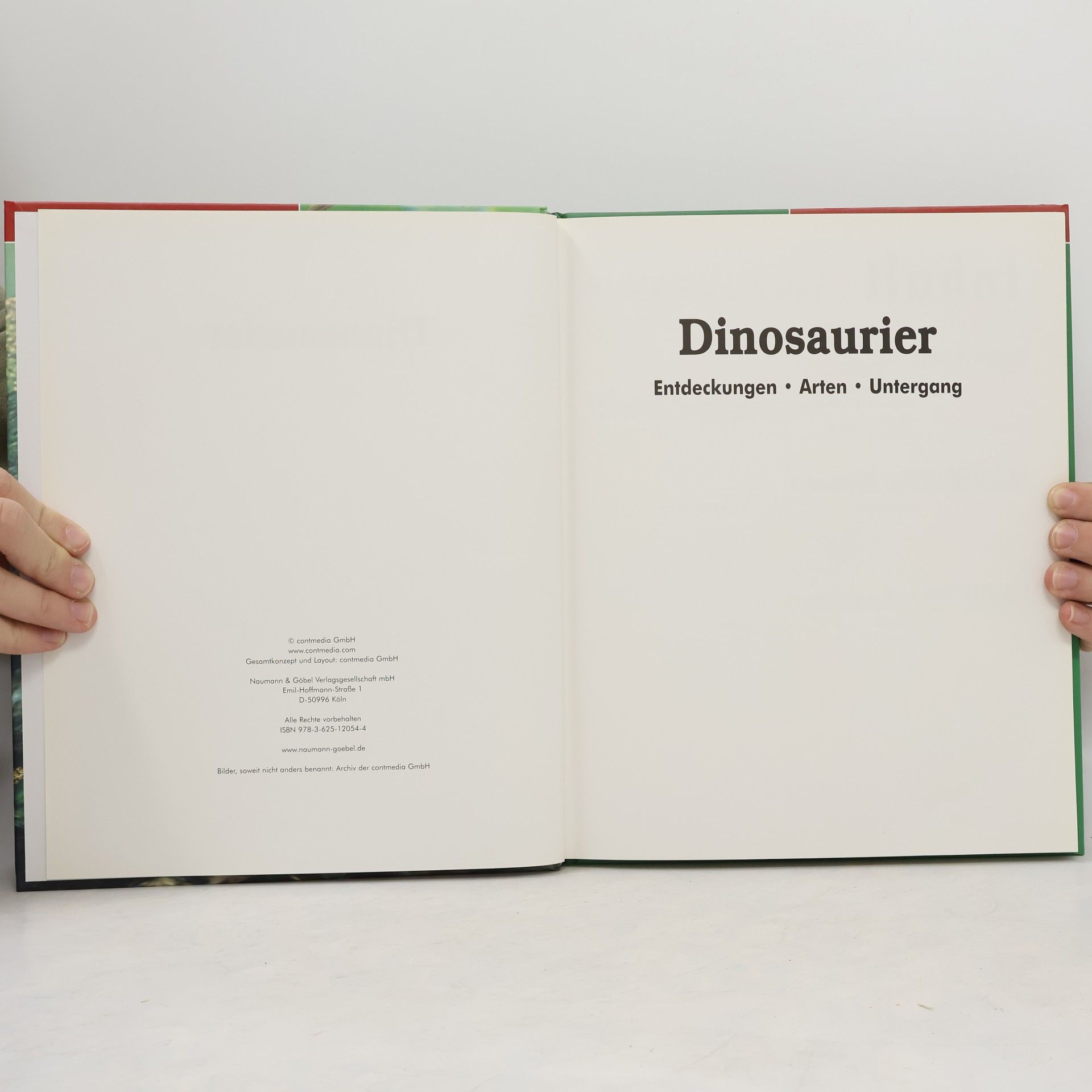 Autores varios Dinosaurier