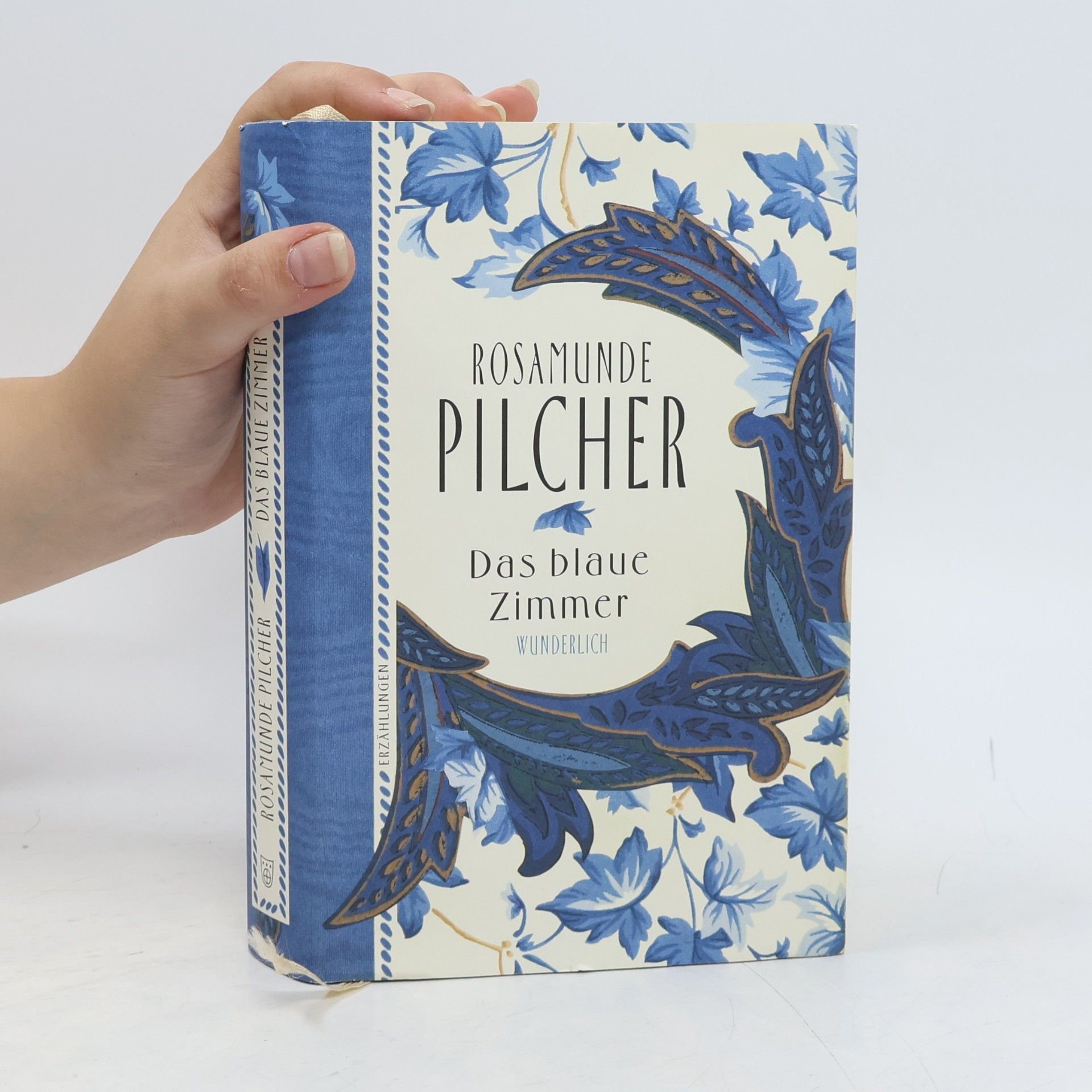 Rosamunde Pilcher Das blaue Zimmer